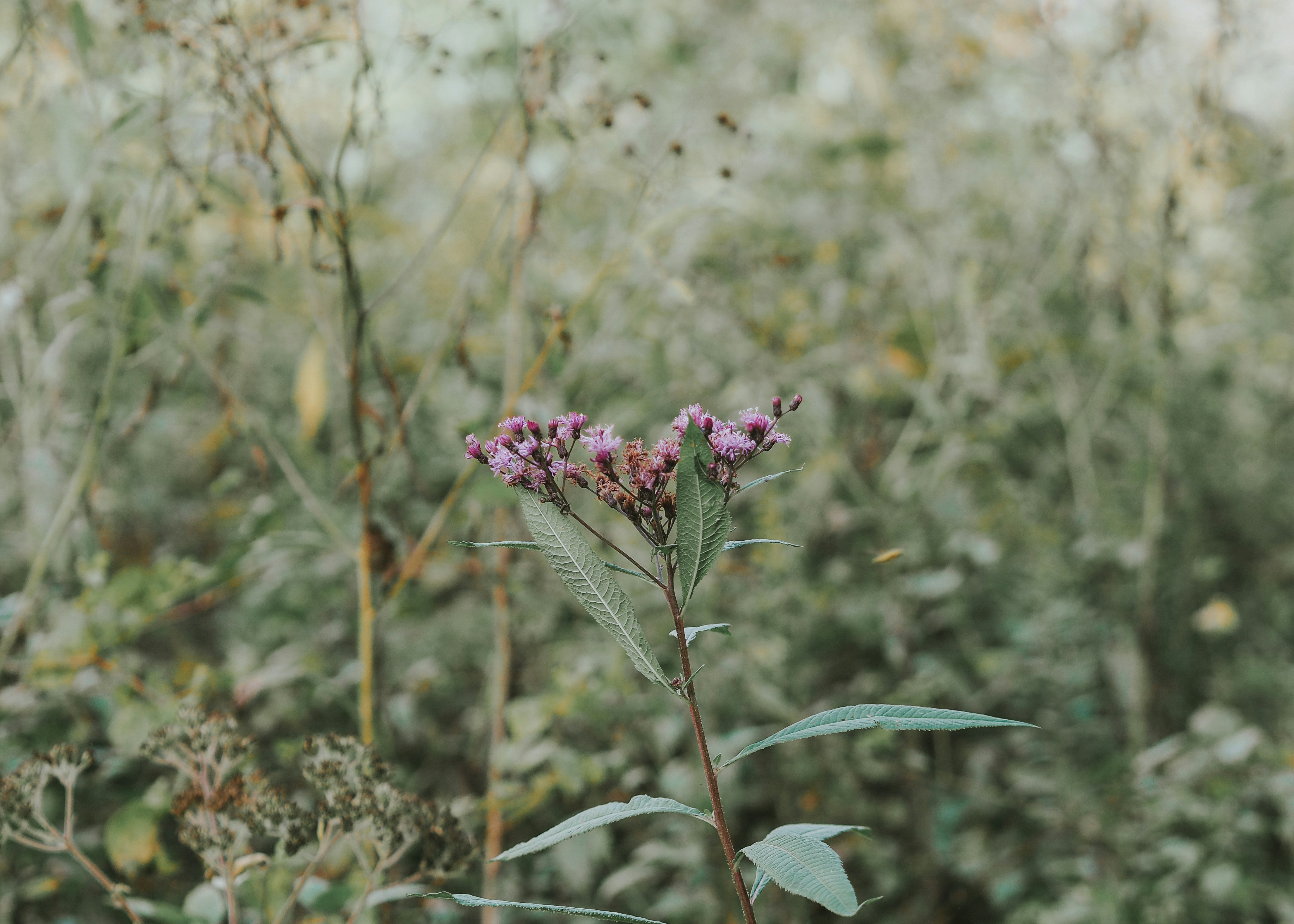 Photo by fieldworkframes