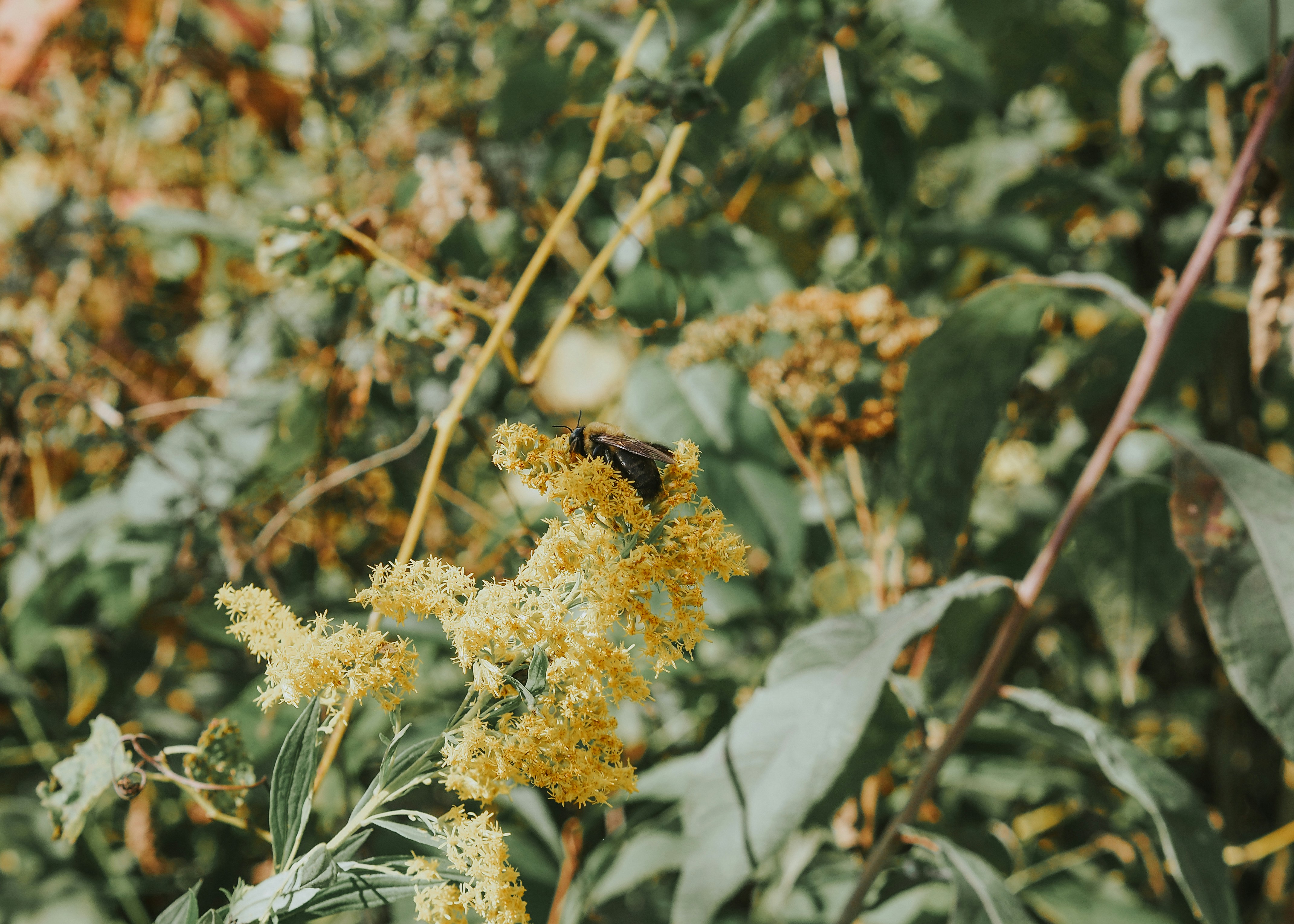 Photo by fieldworkframes