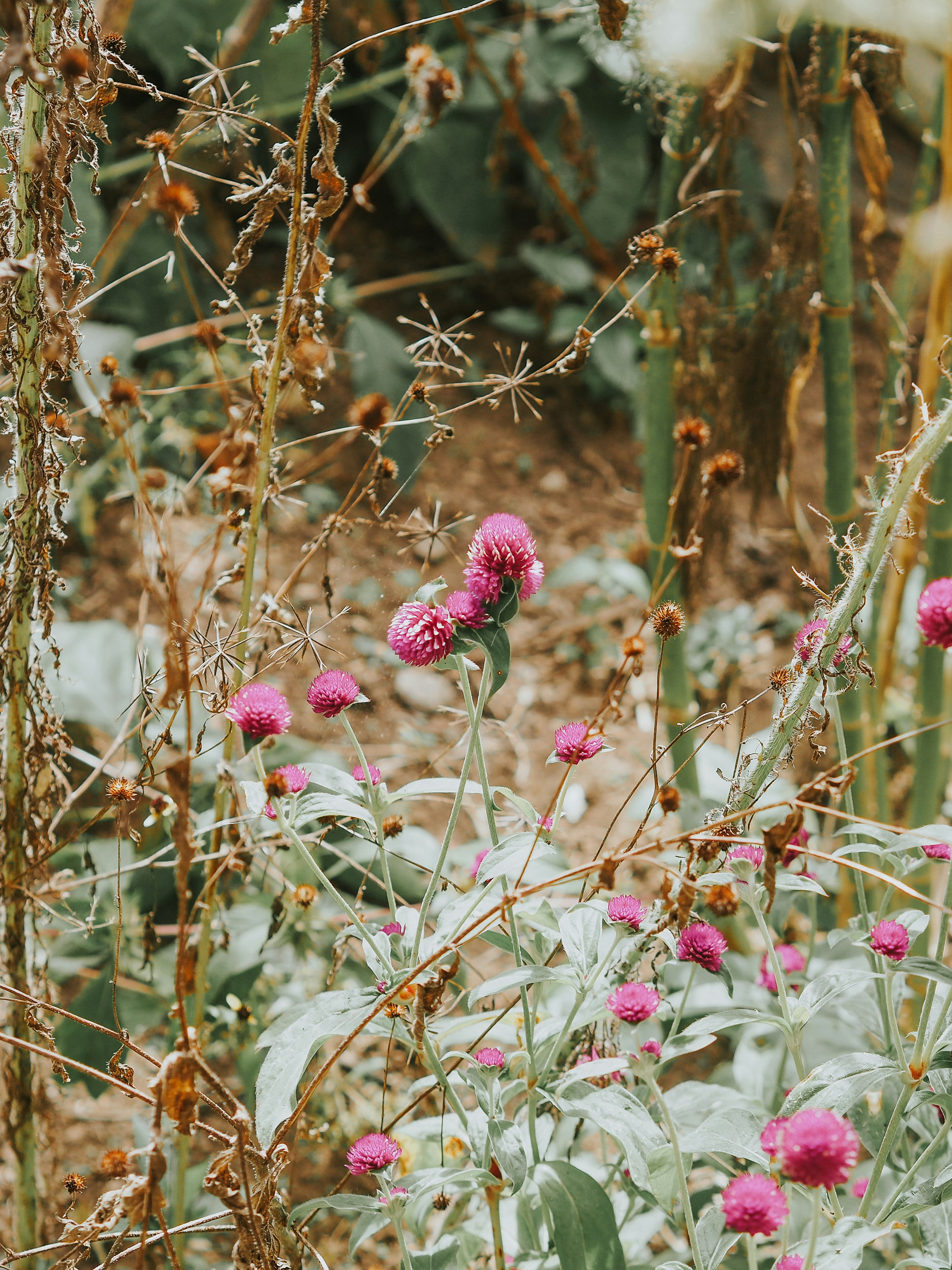 Photo by fieldworkframes