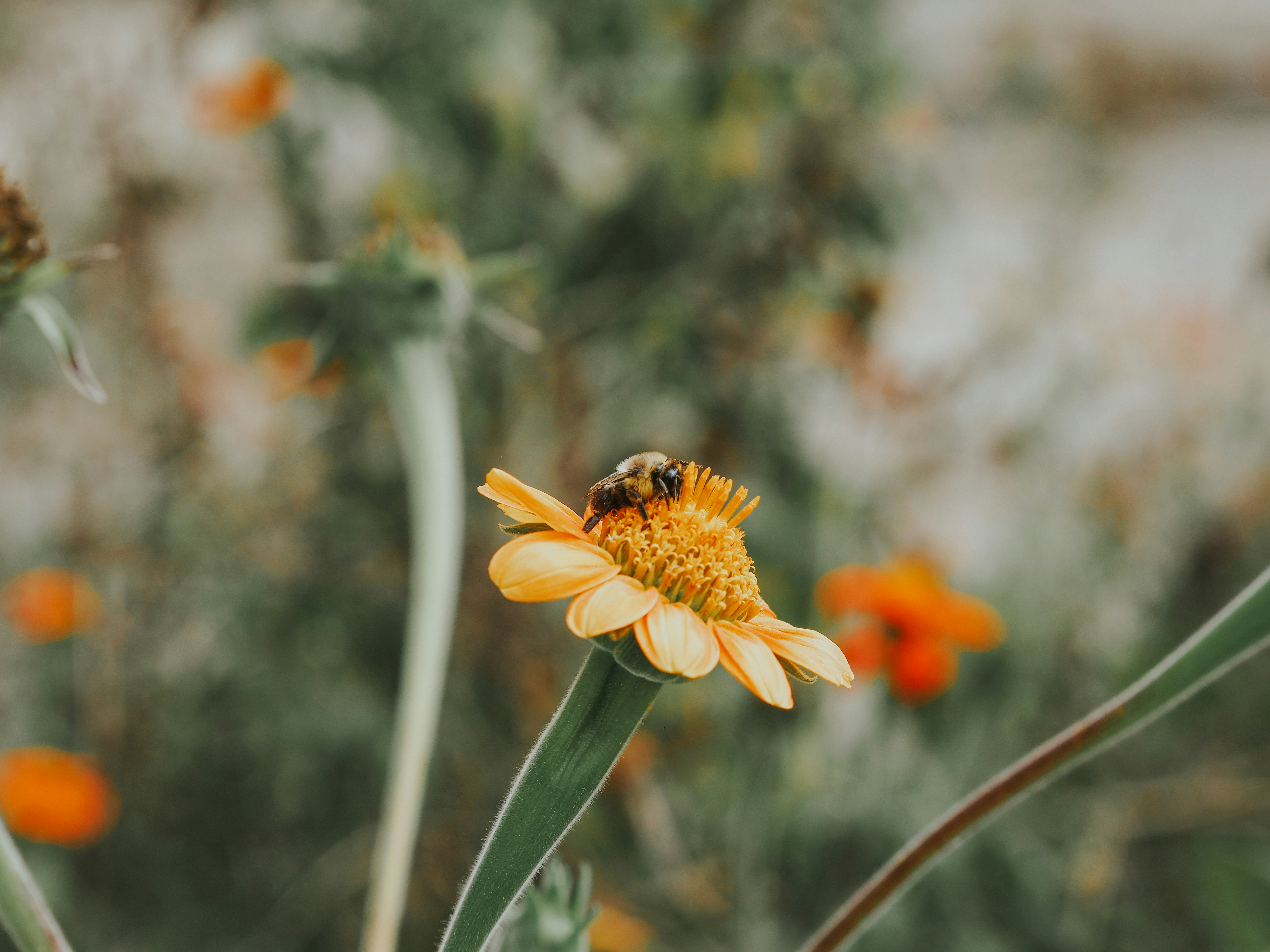 Photo by fieldworkframes