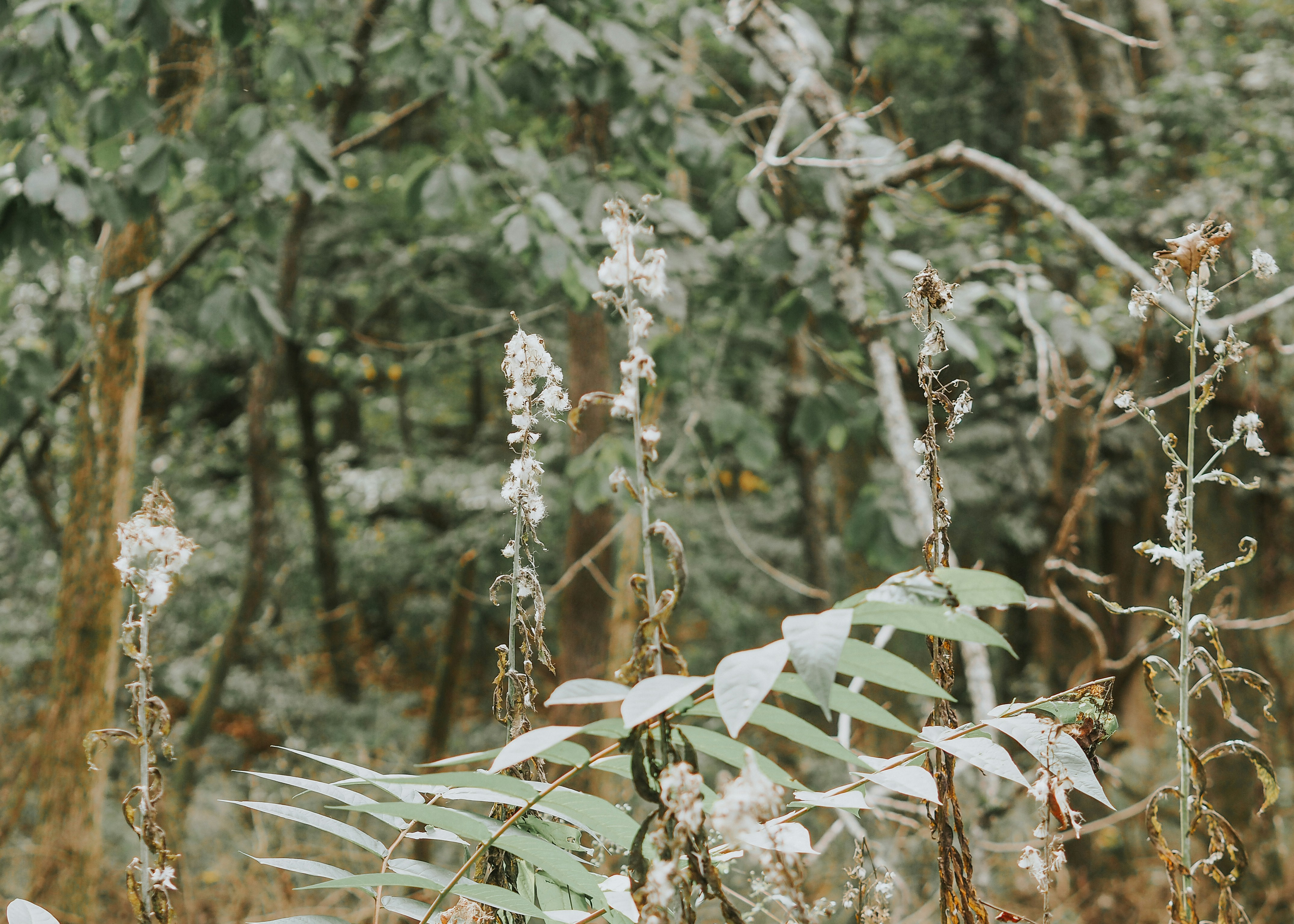 Photo by fieldworkframes