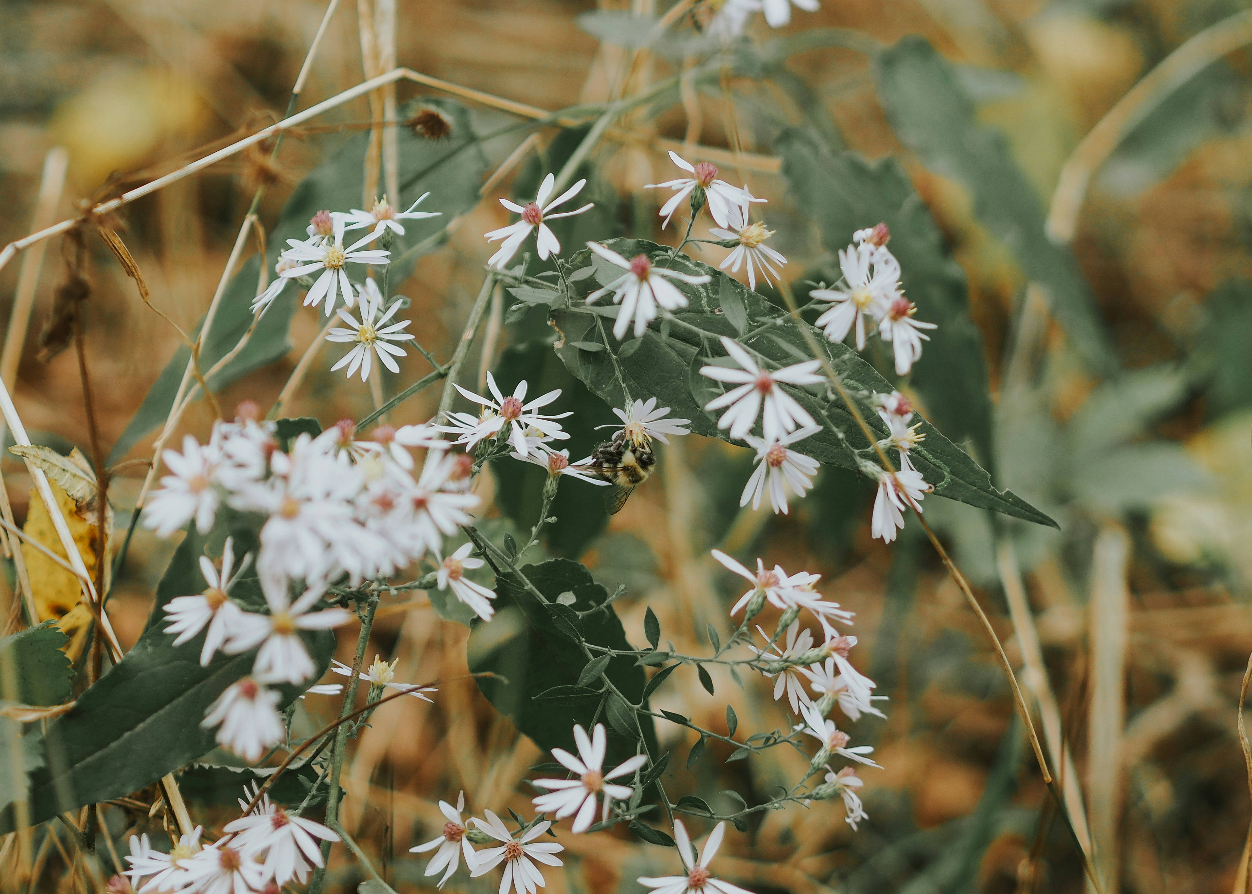 Photo by fieldworkframes