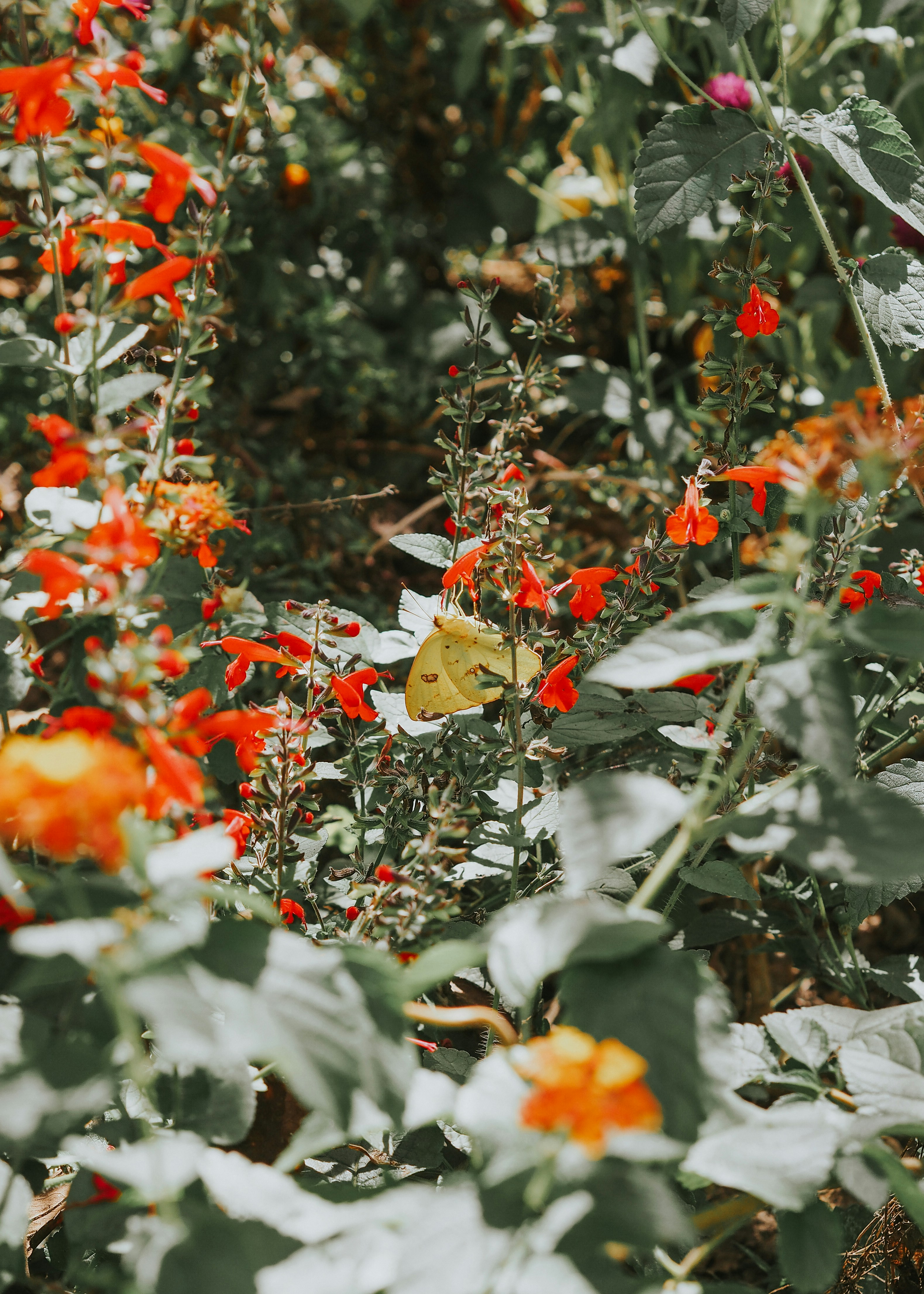 Photo by fieldworkframes