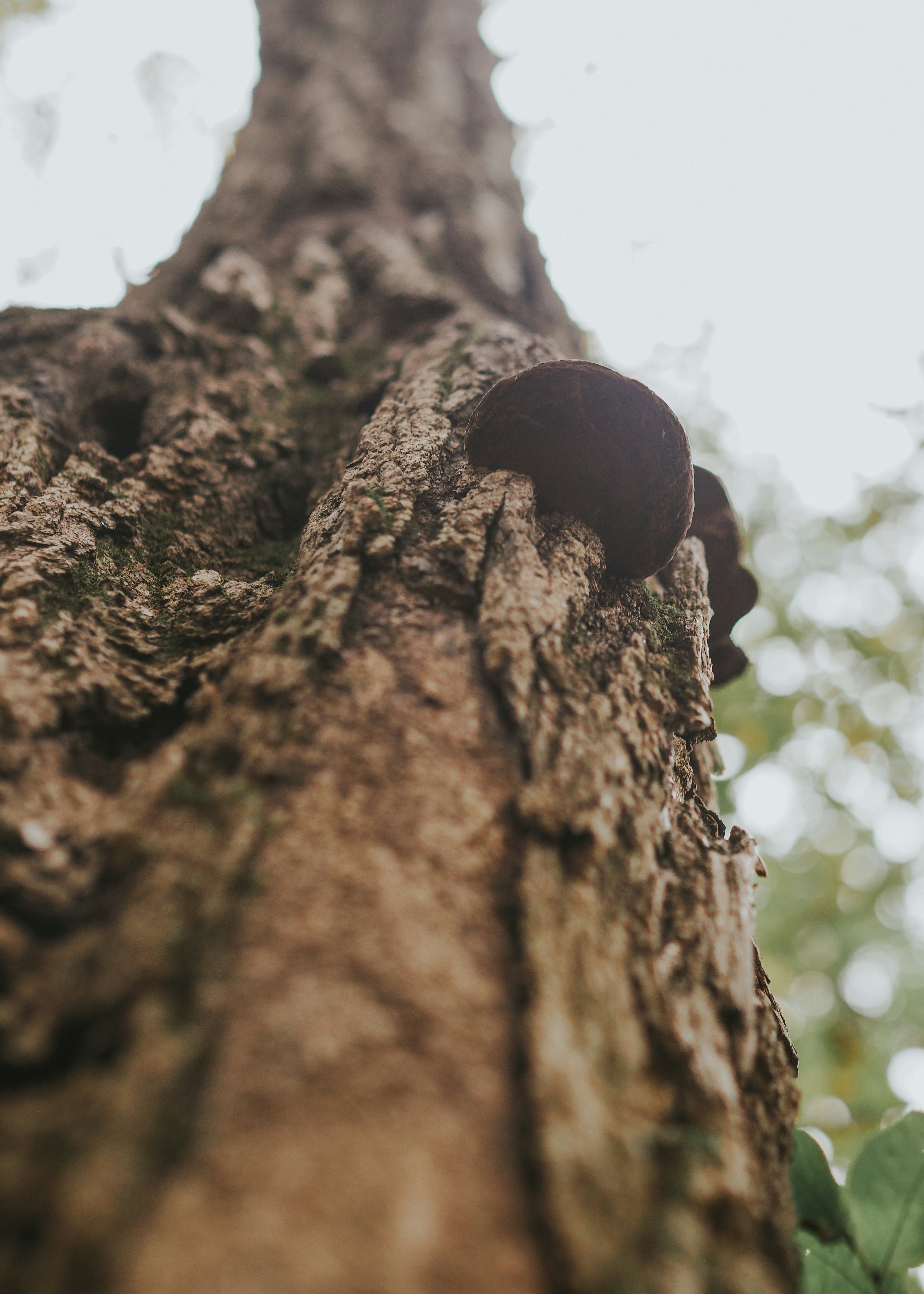 Photo by fieldworkframes