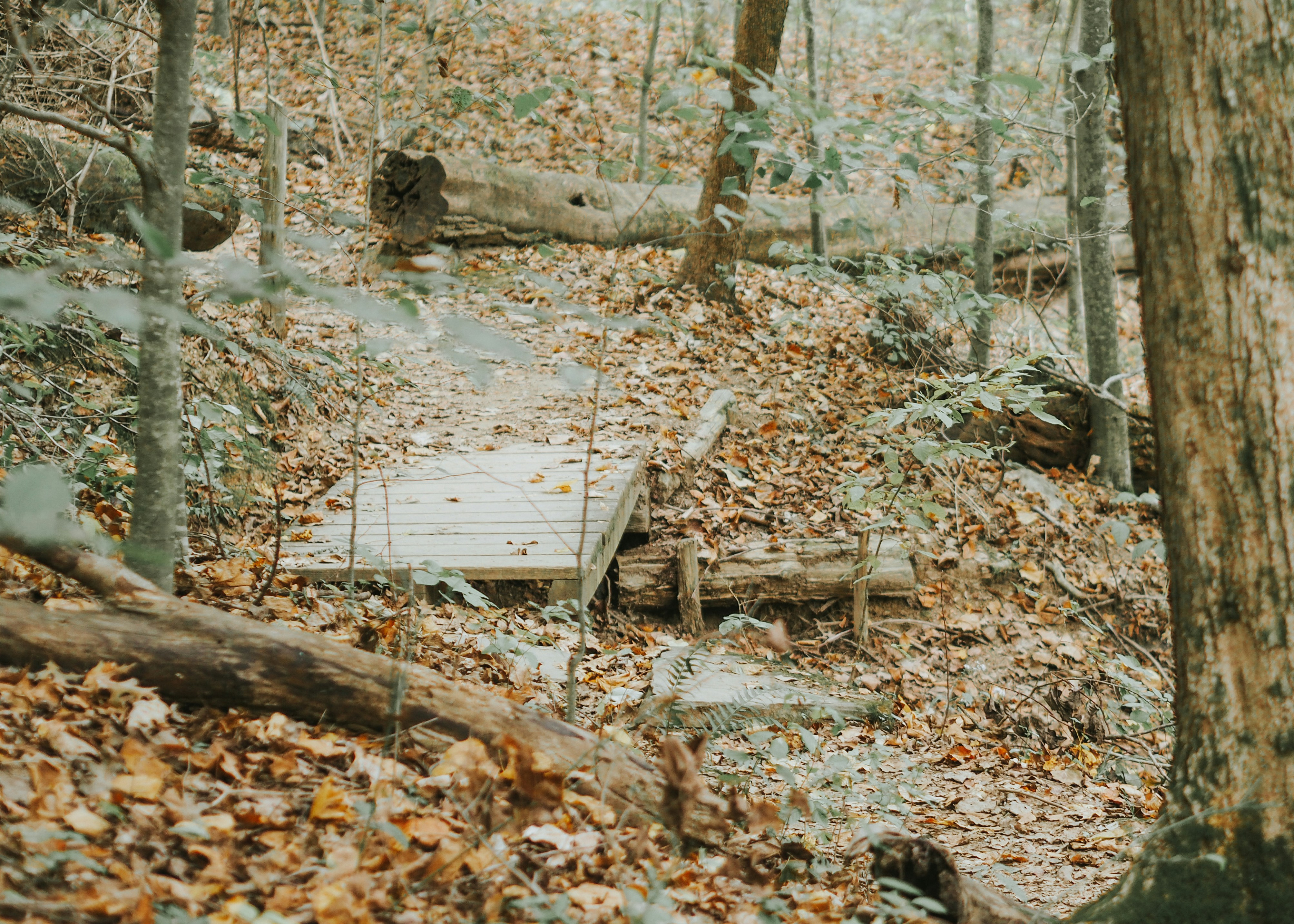 Photo by fieldworkframes