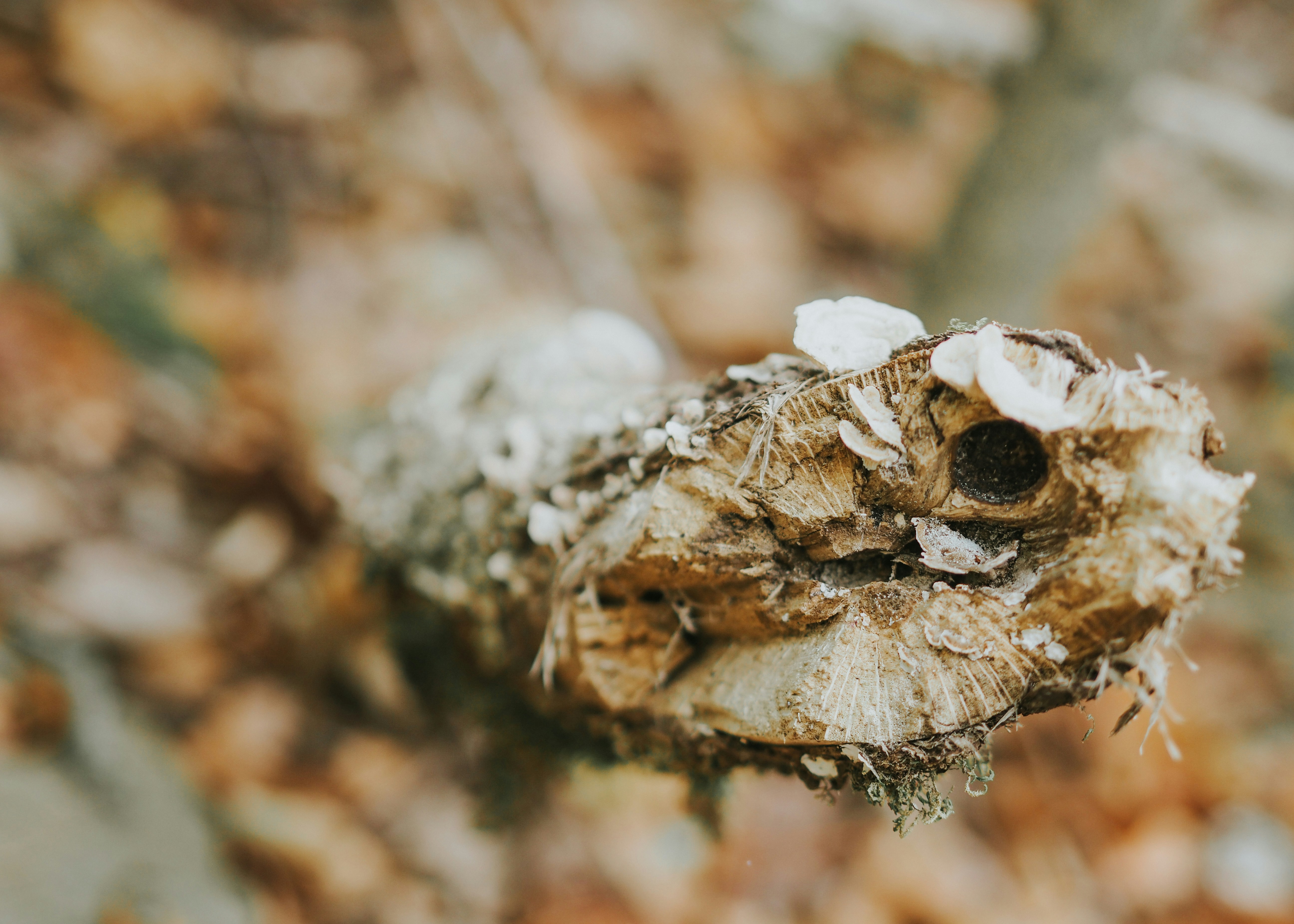 Photo by fieldworkframes