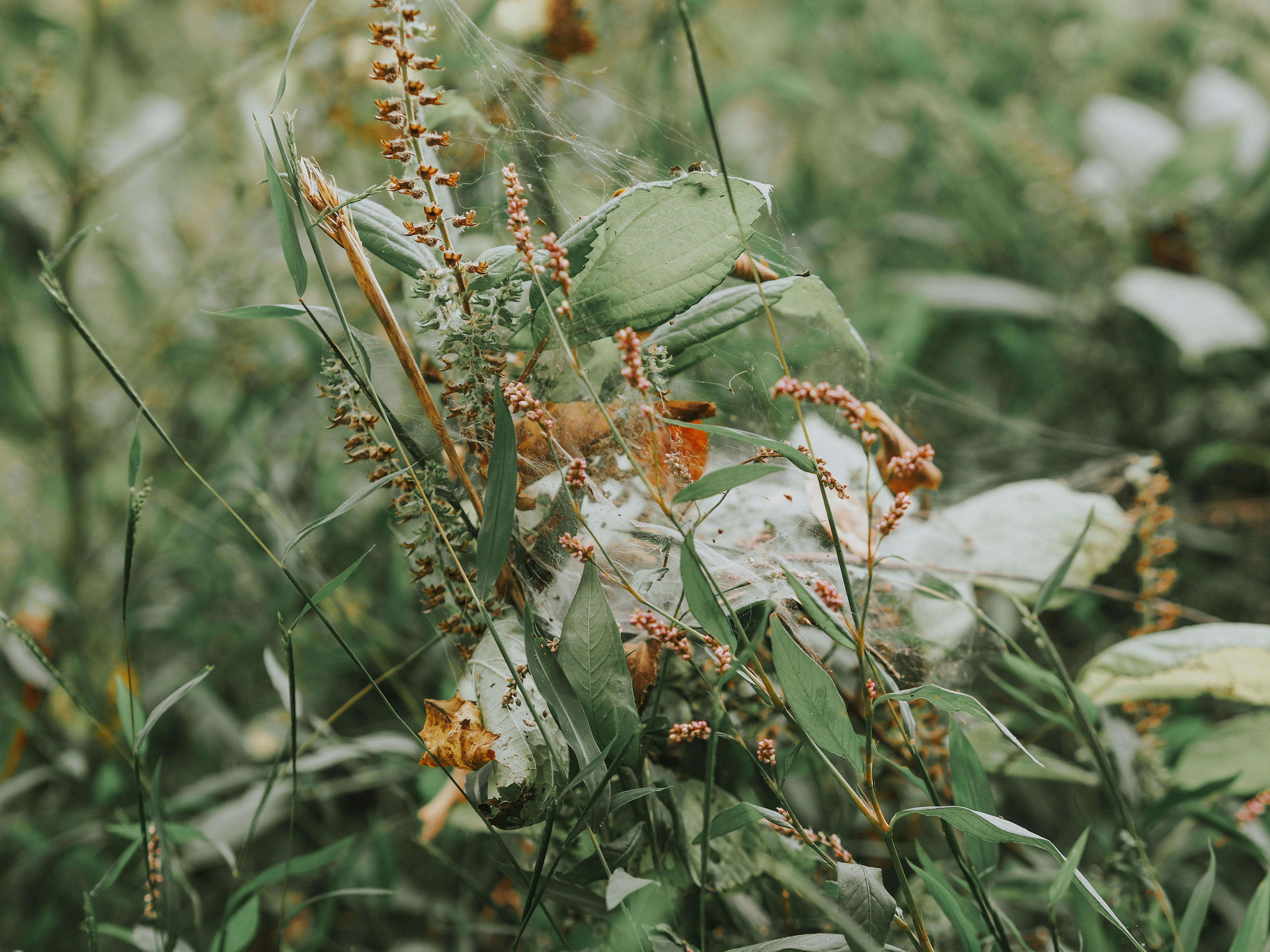 Photo by fieldworkframes