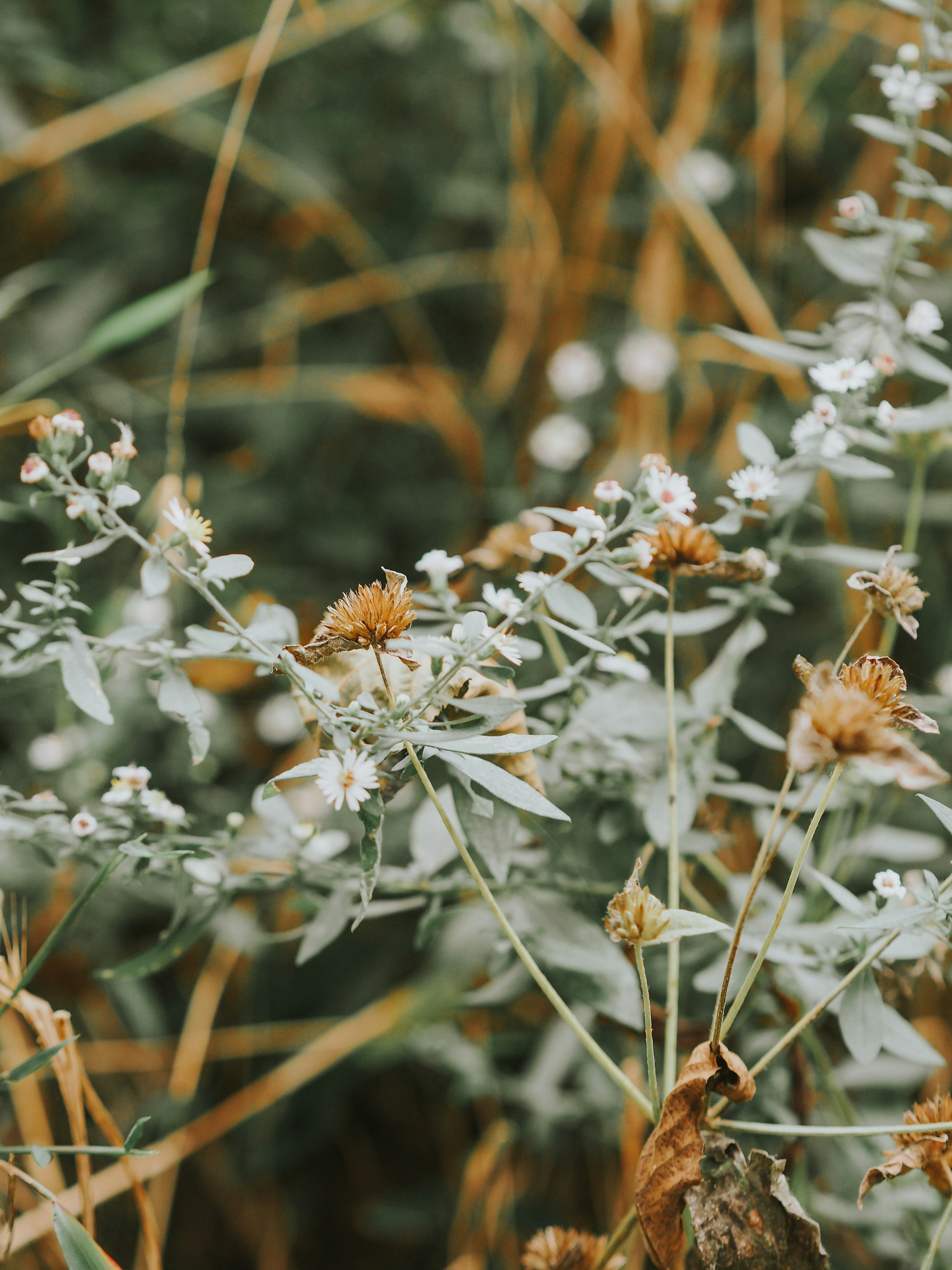 Photo by fieldworkframes