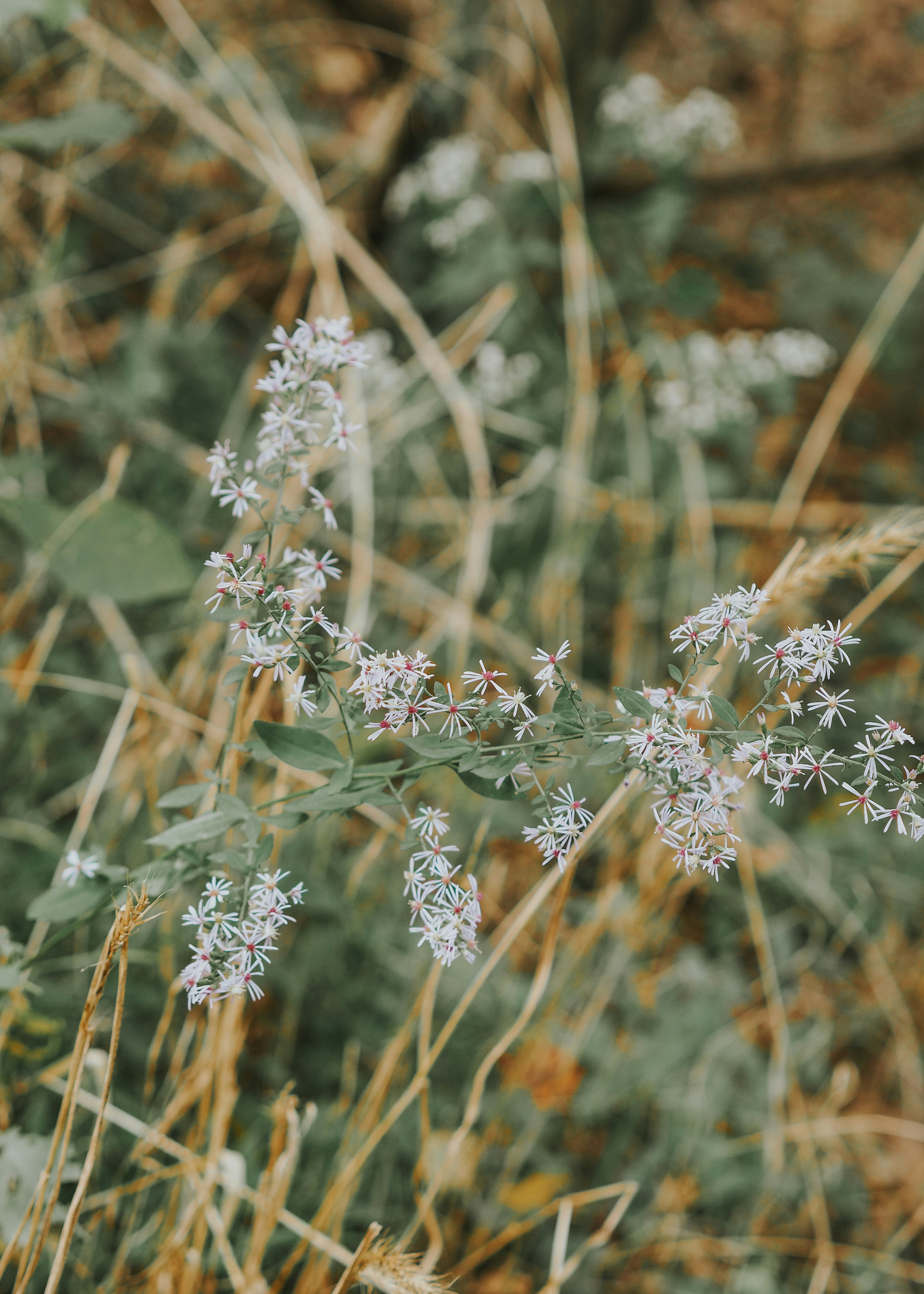 Photo by fieldworkframes