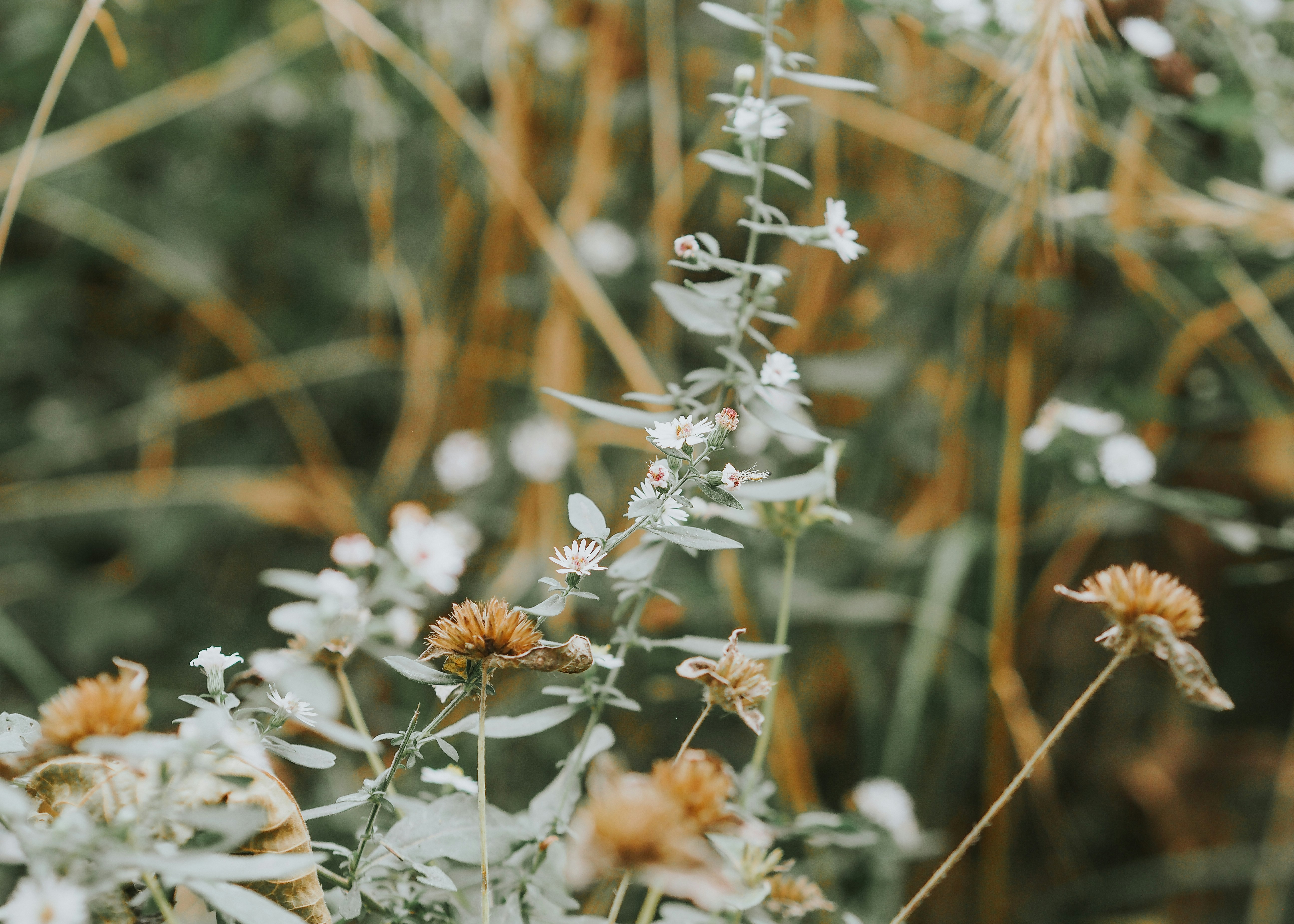 Photo by fieldworkframes