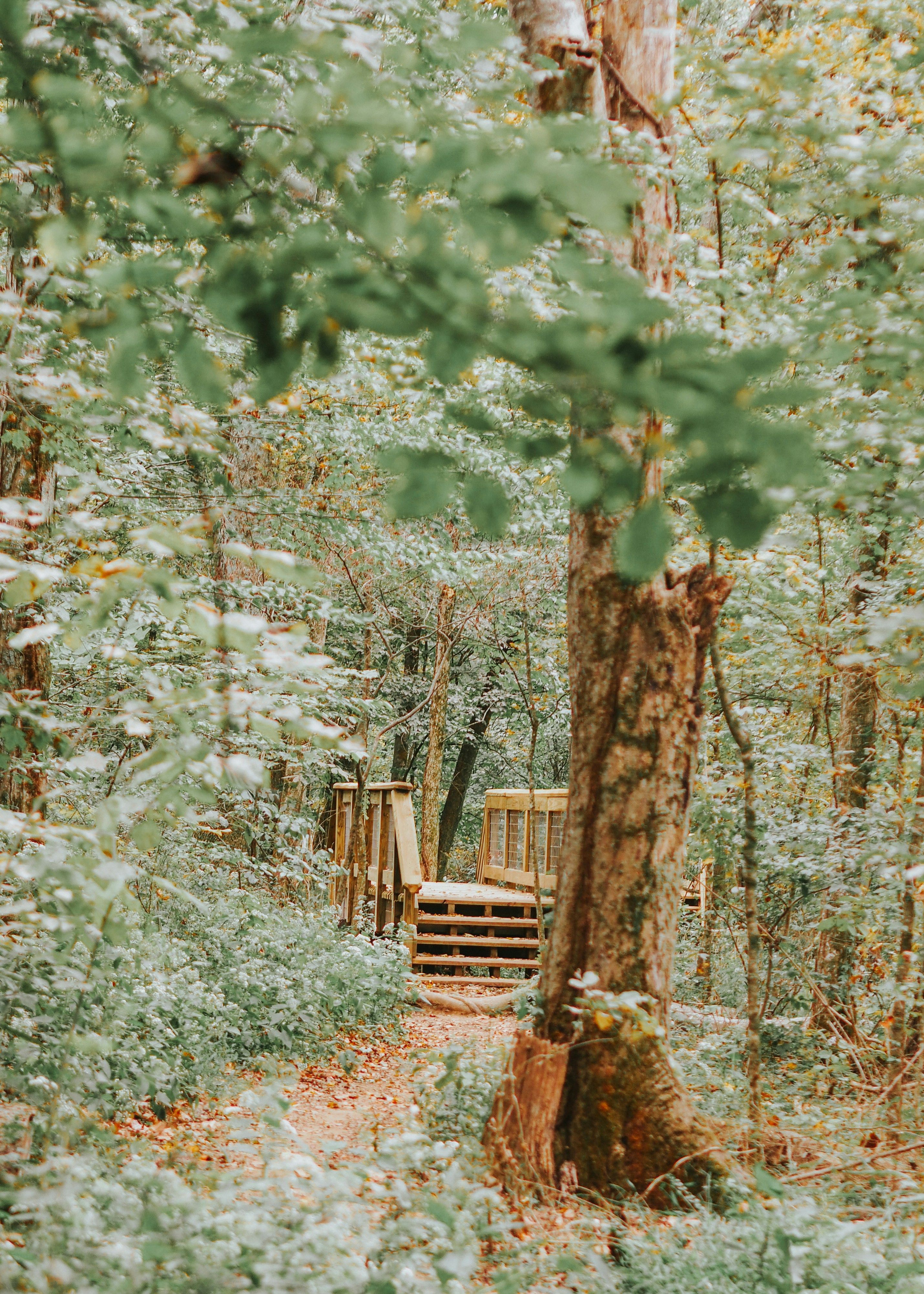 Photo by fieldworkframes