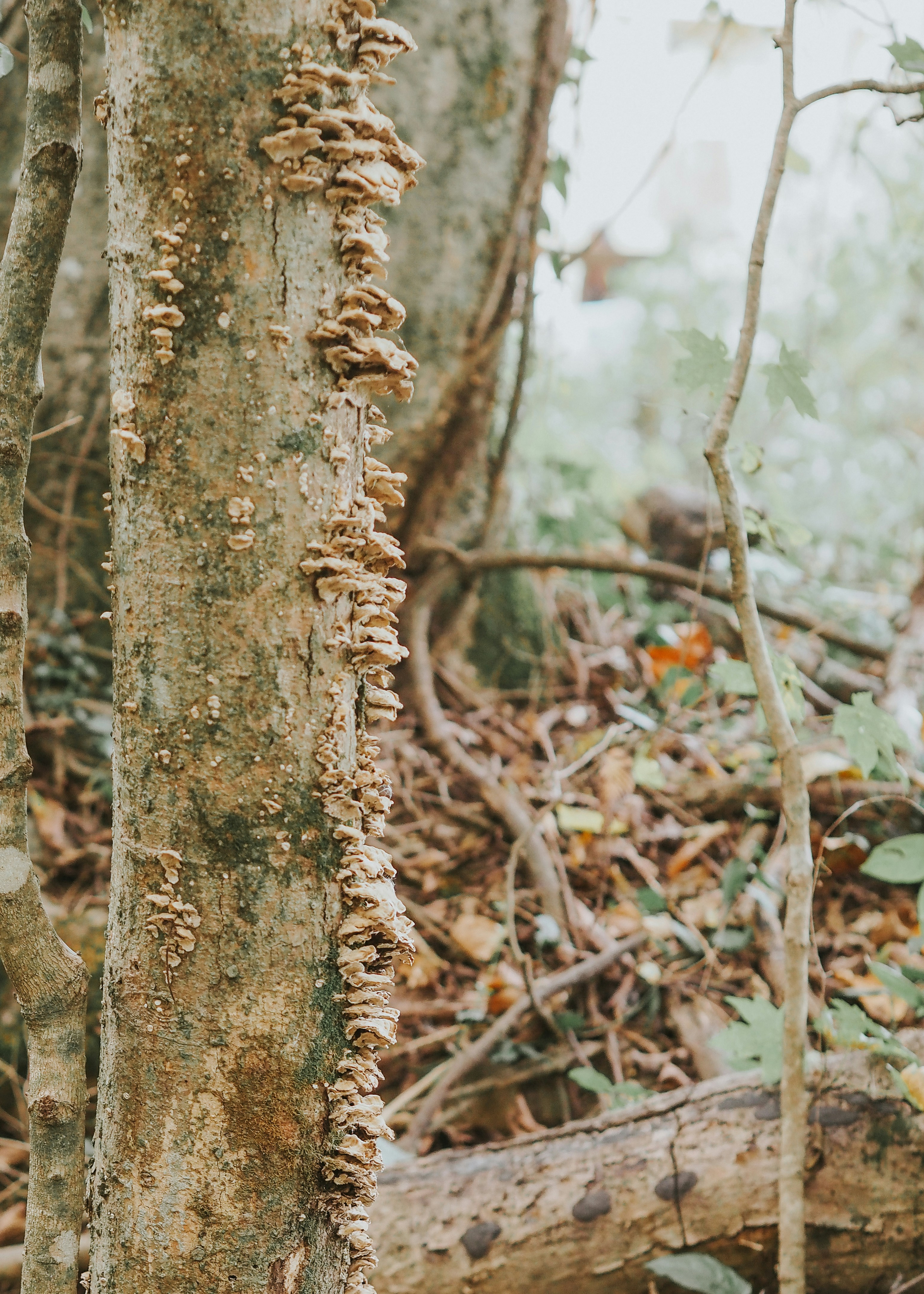 Photo by fieldworkframes