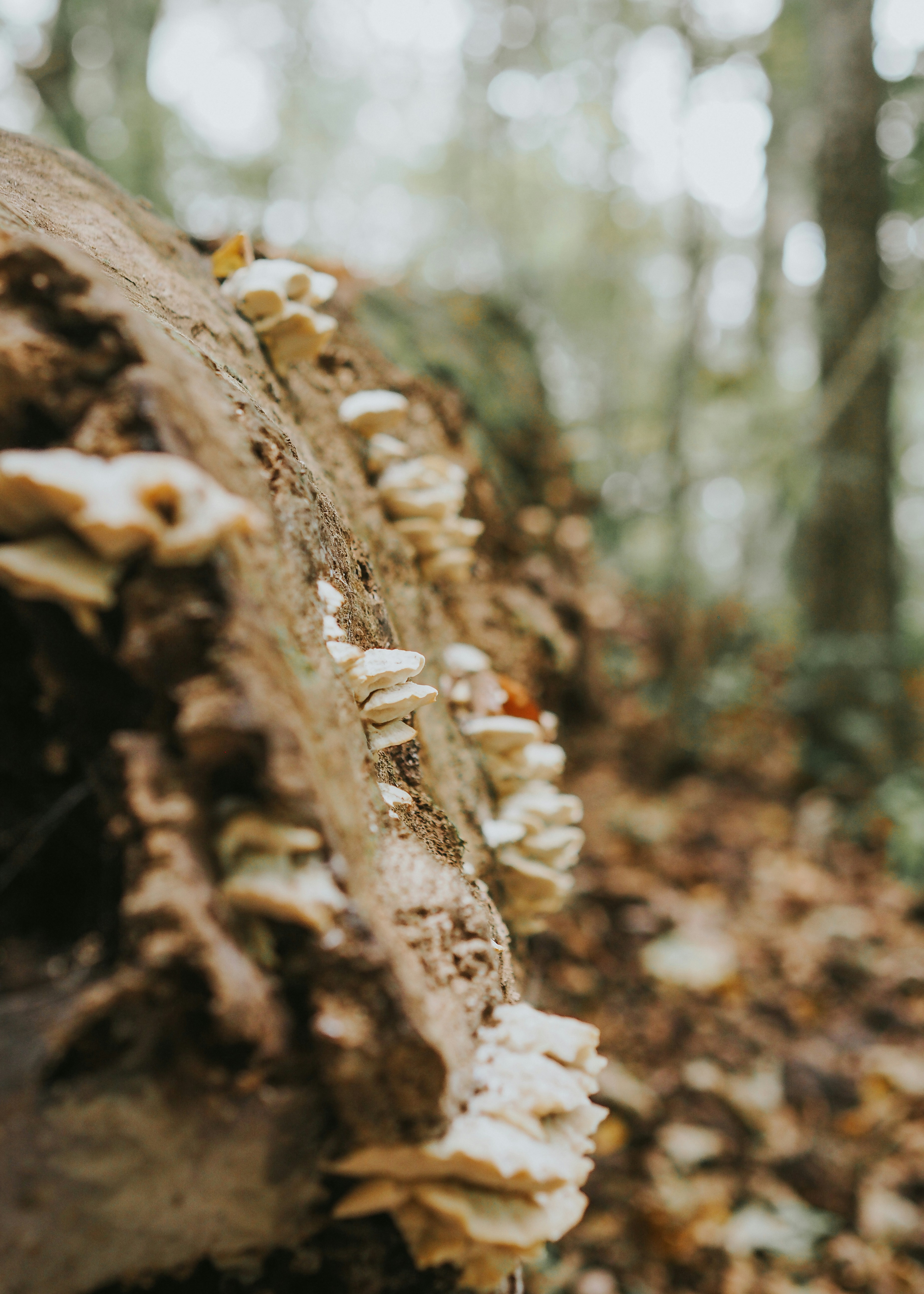 Photo by fieldworkframes