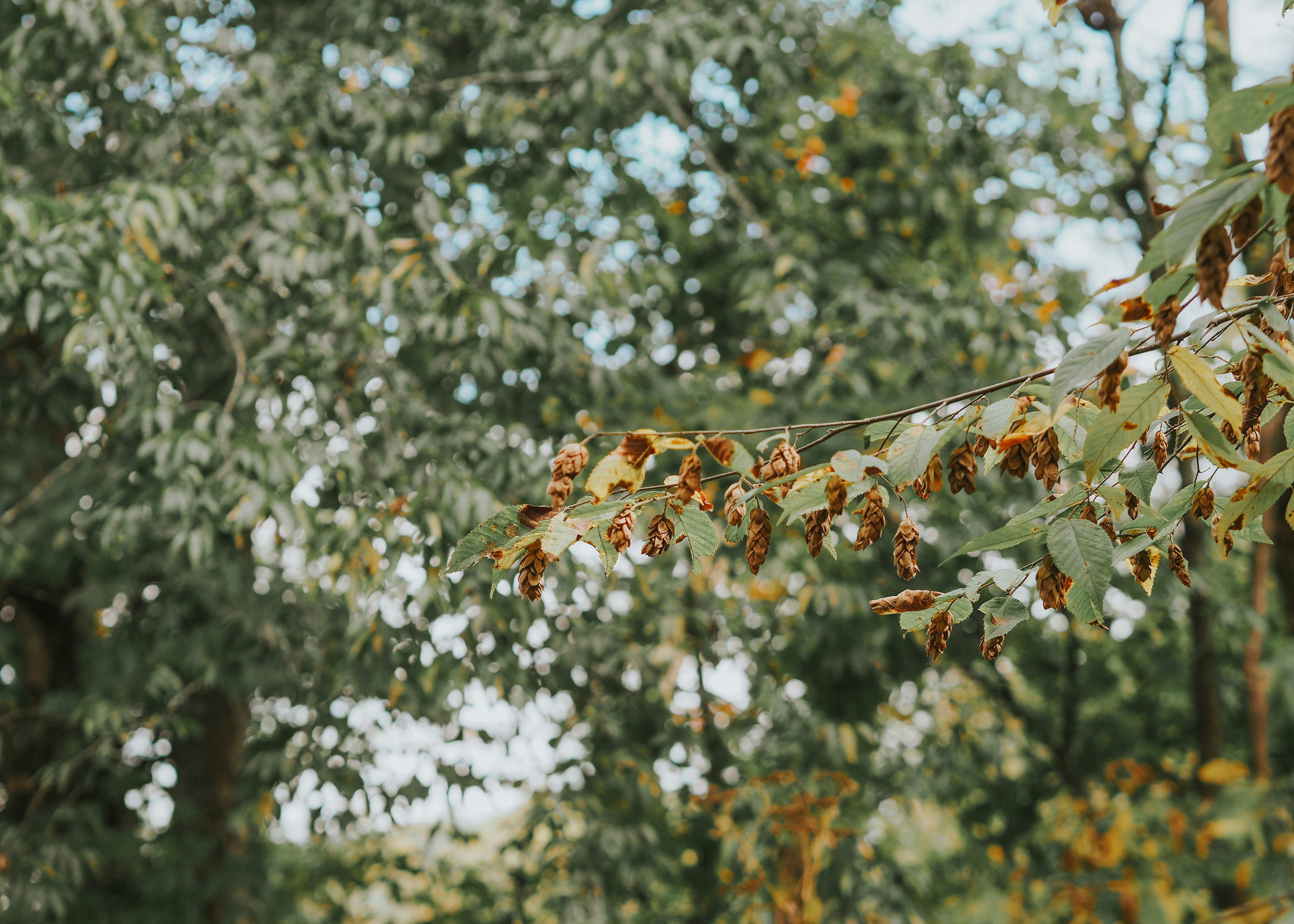 Photo by fieldworkframes