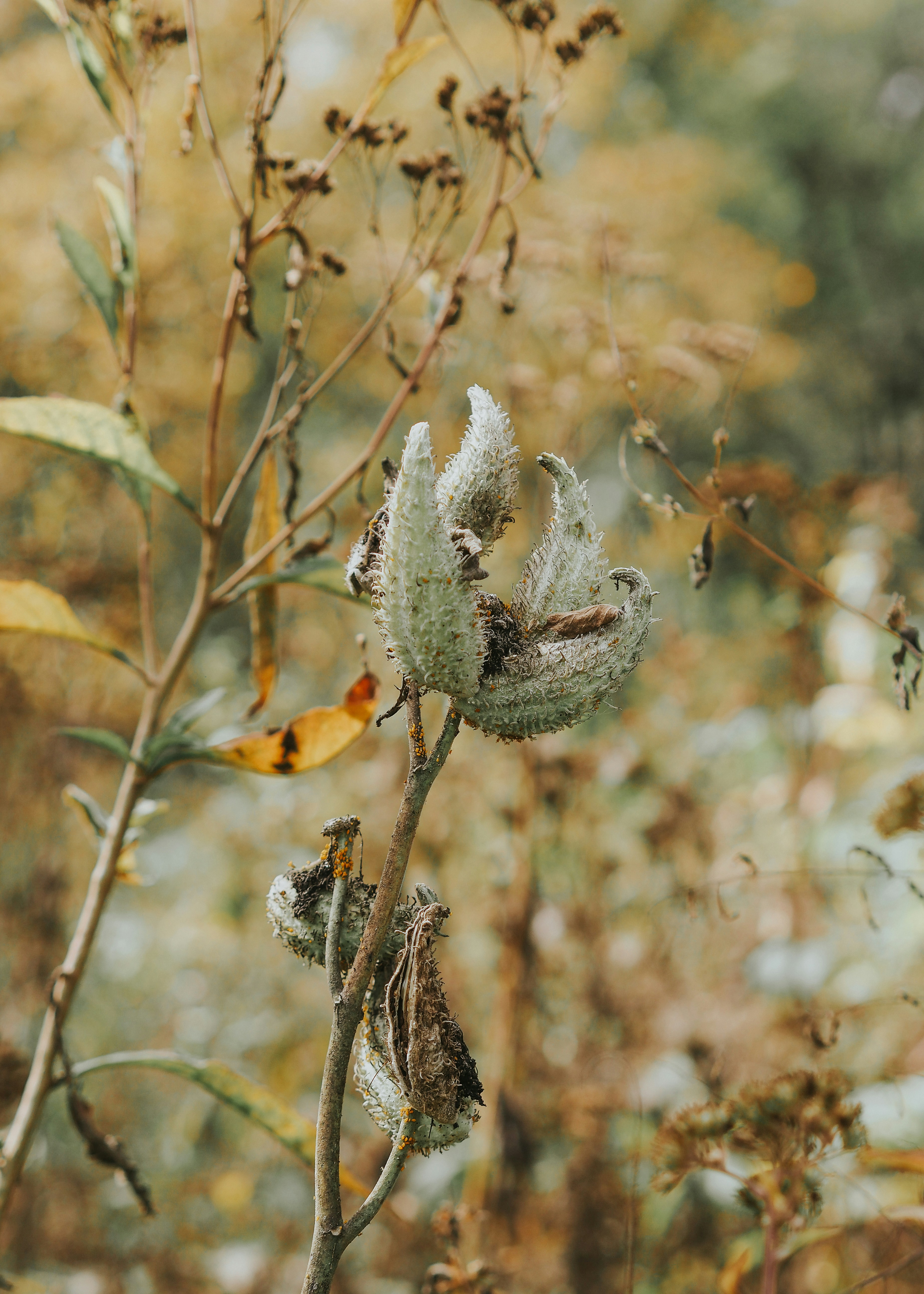 Photo by fieldworkframes