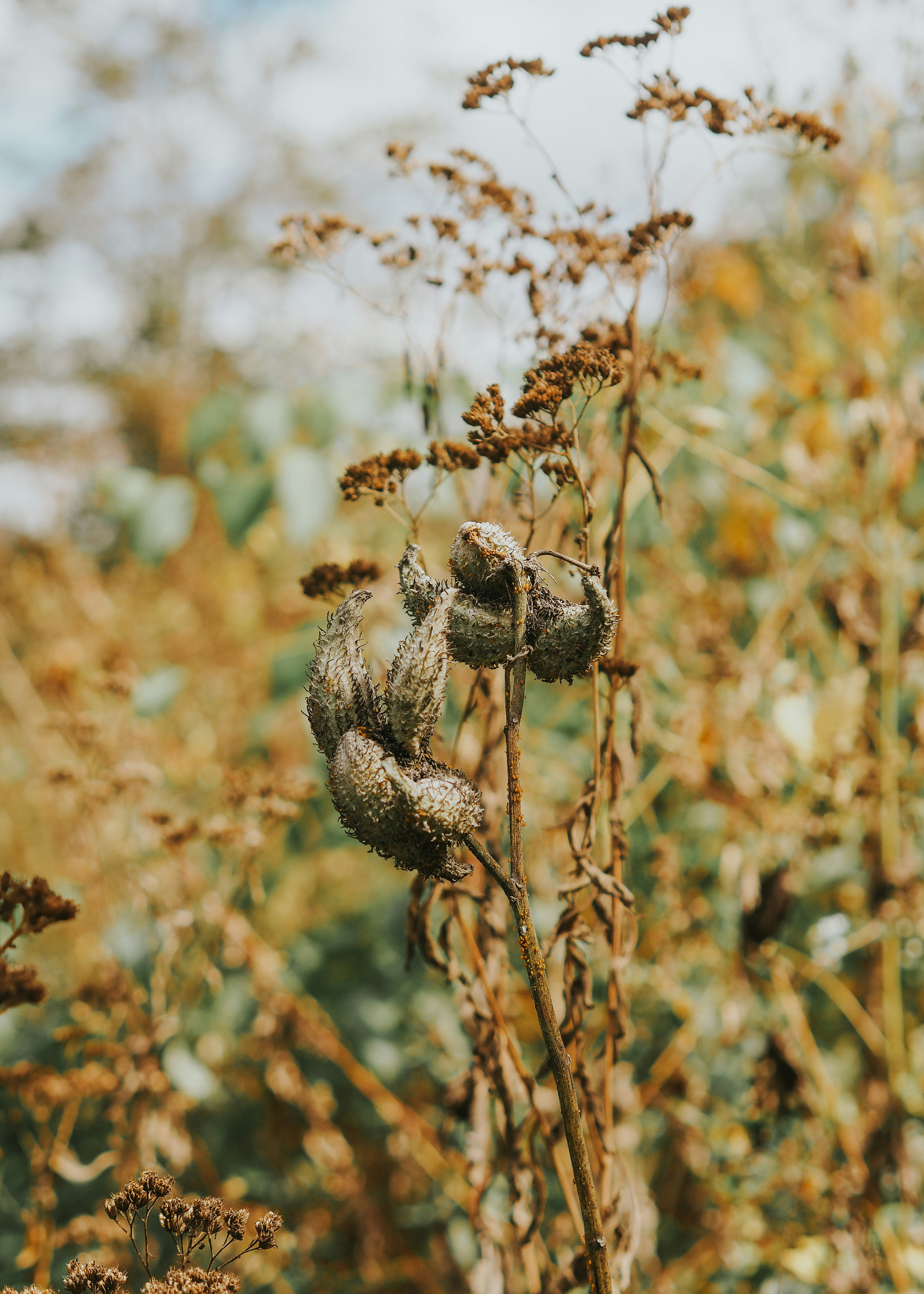 Photo by fieldworkframes