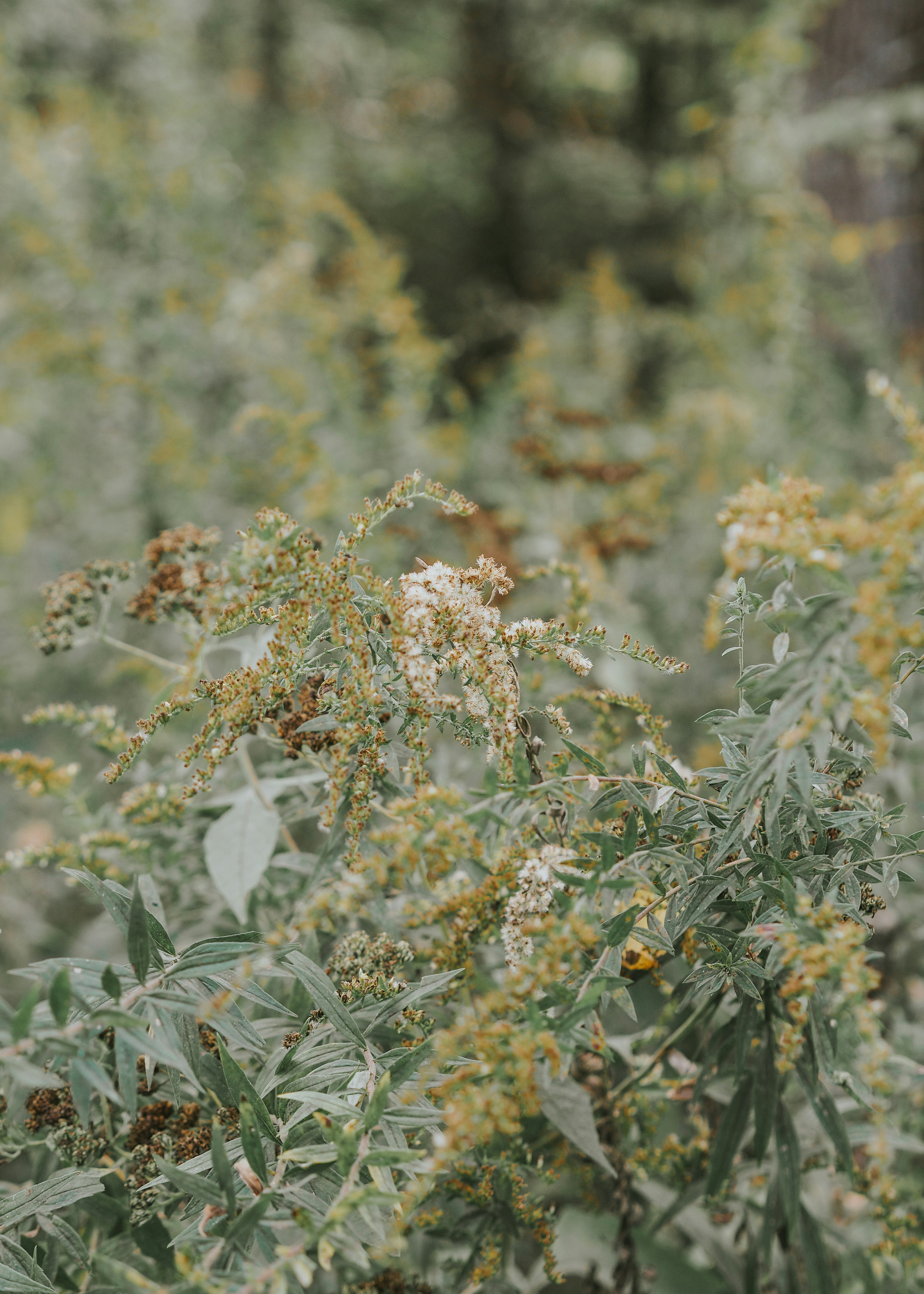 Photo by fieldworkframes