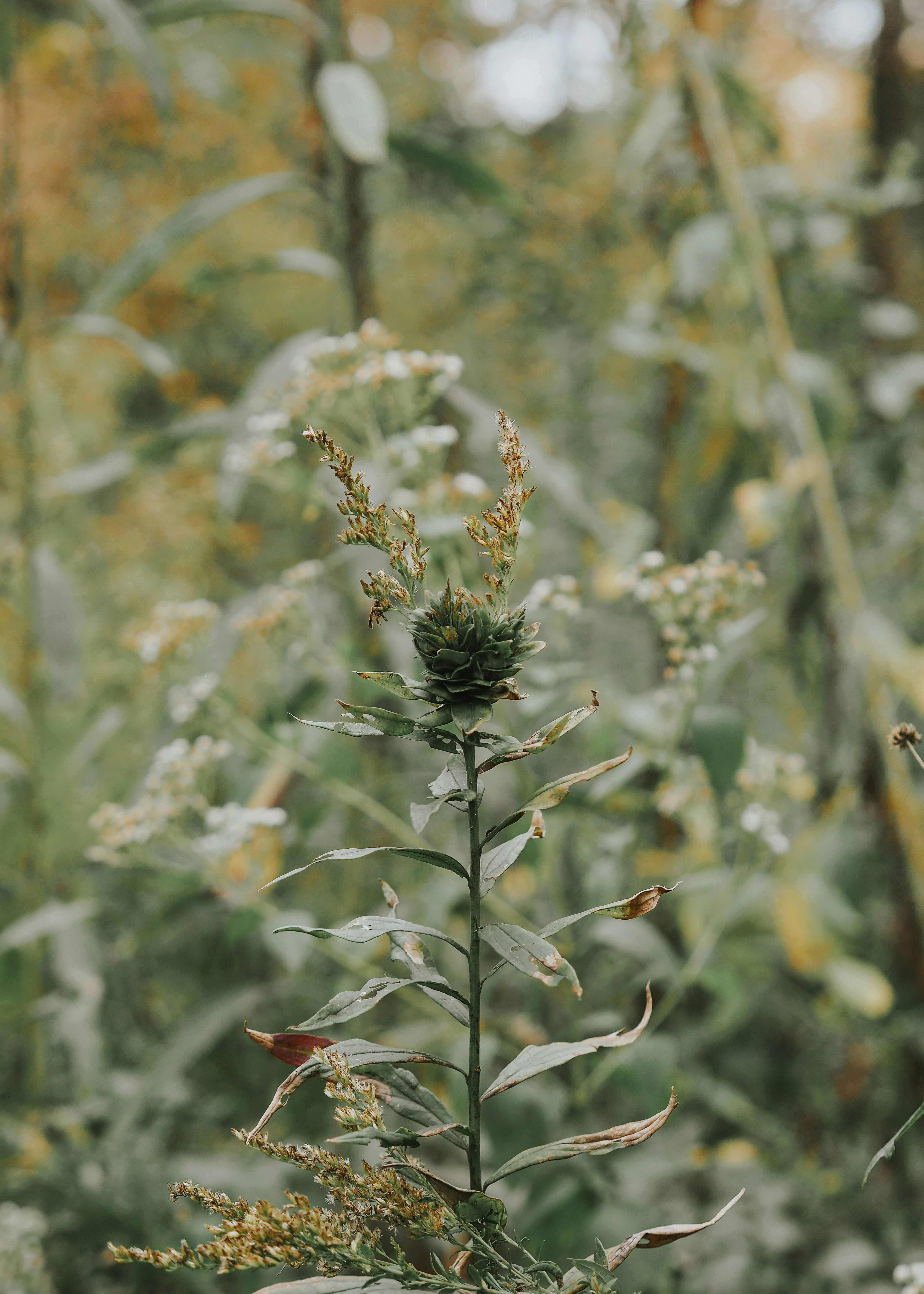 Photo by fieldworkframes