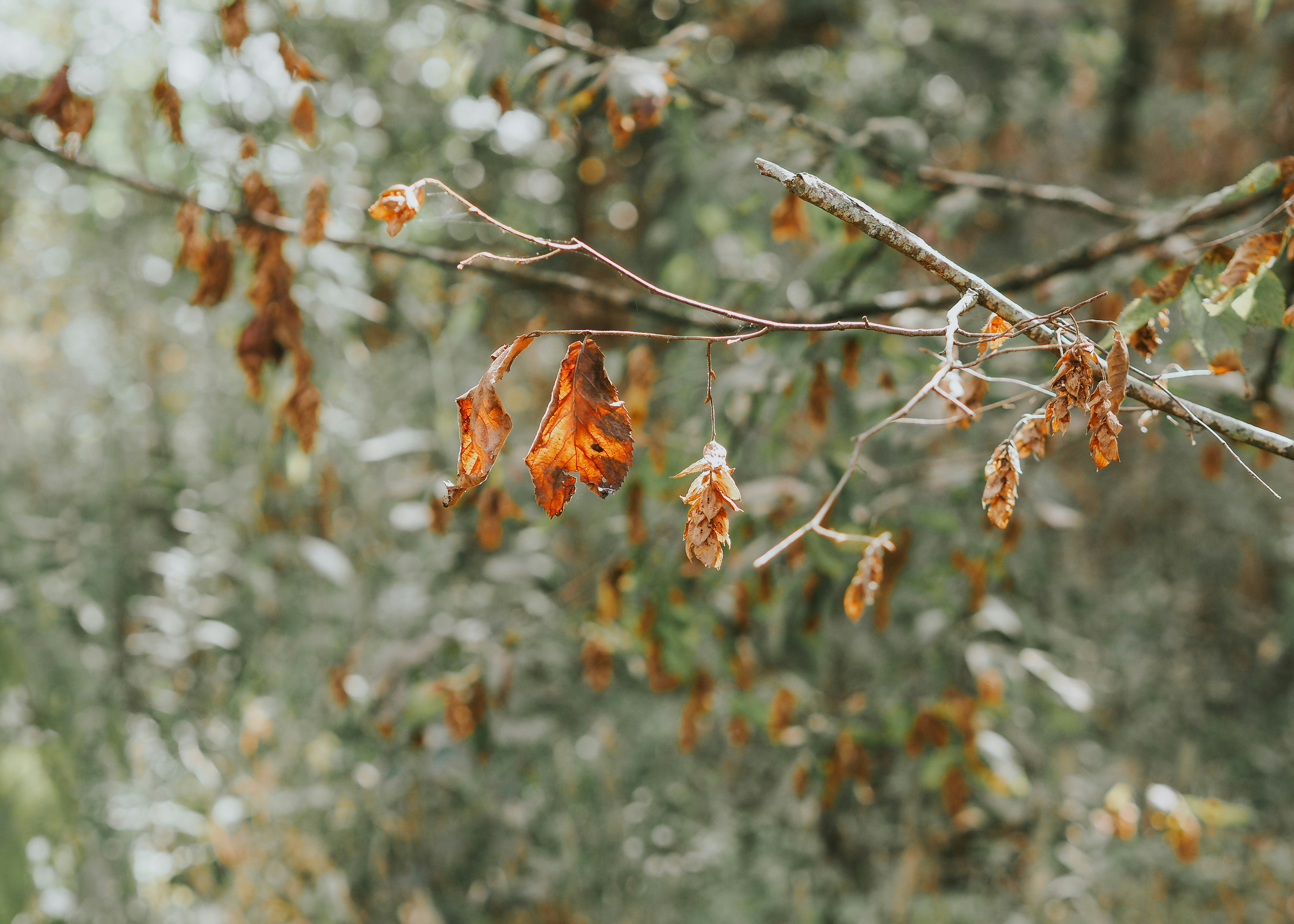 Photo by fieldworkframes