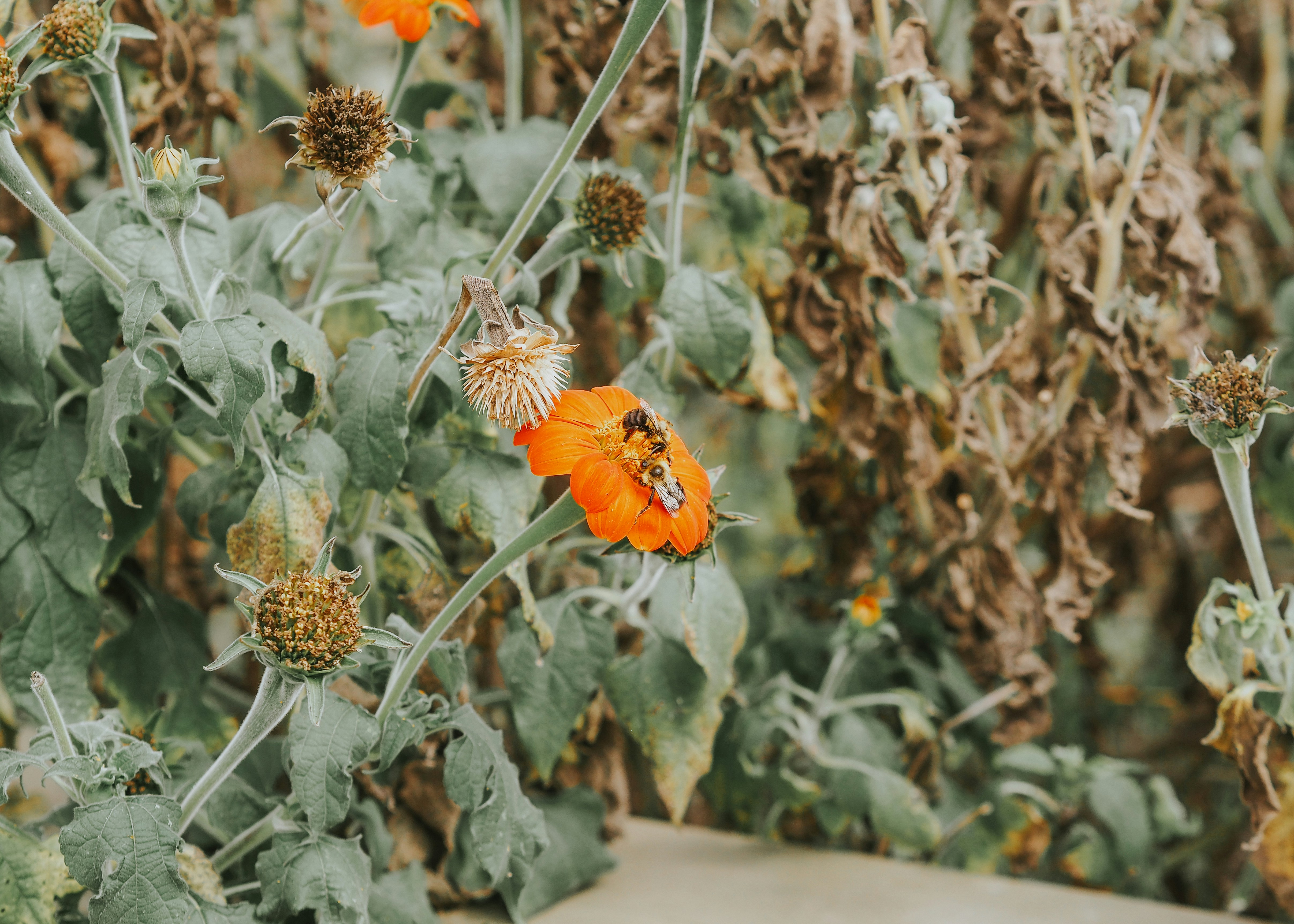 Photo by fieldworkframes