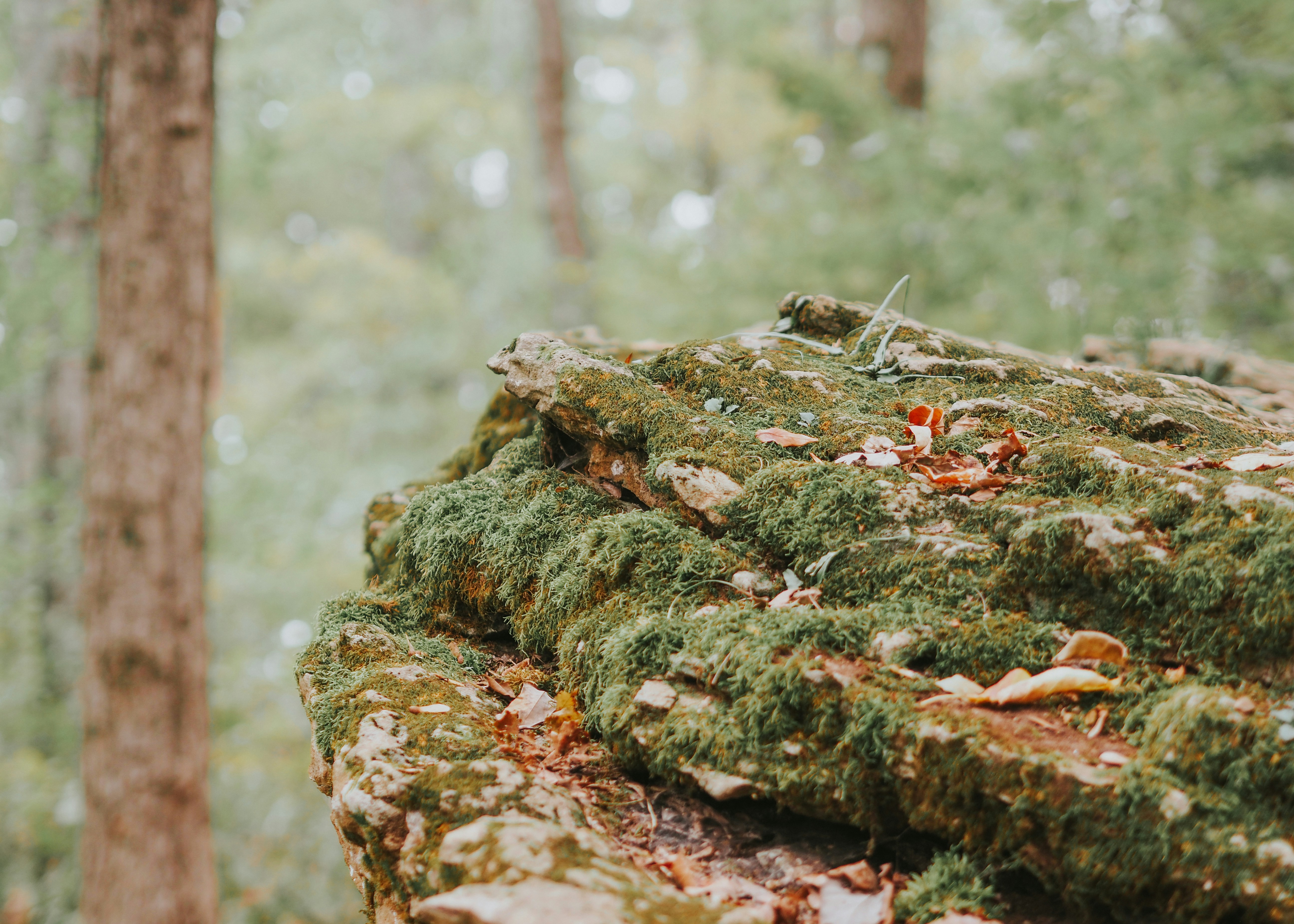 Photo by fieldworkframes