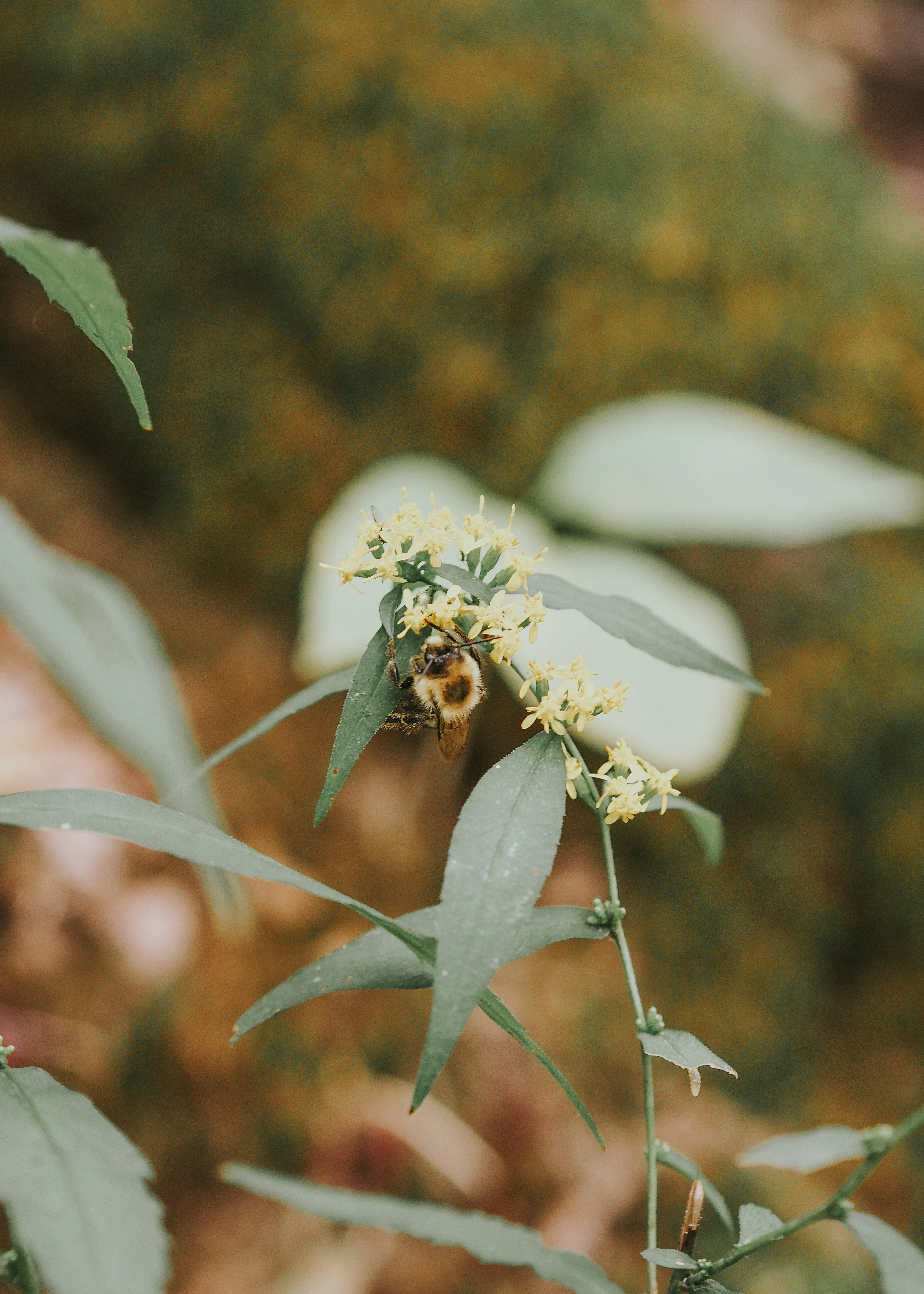 Photo by fieldworkframes
