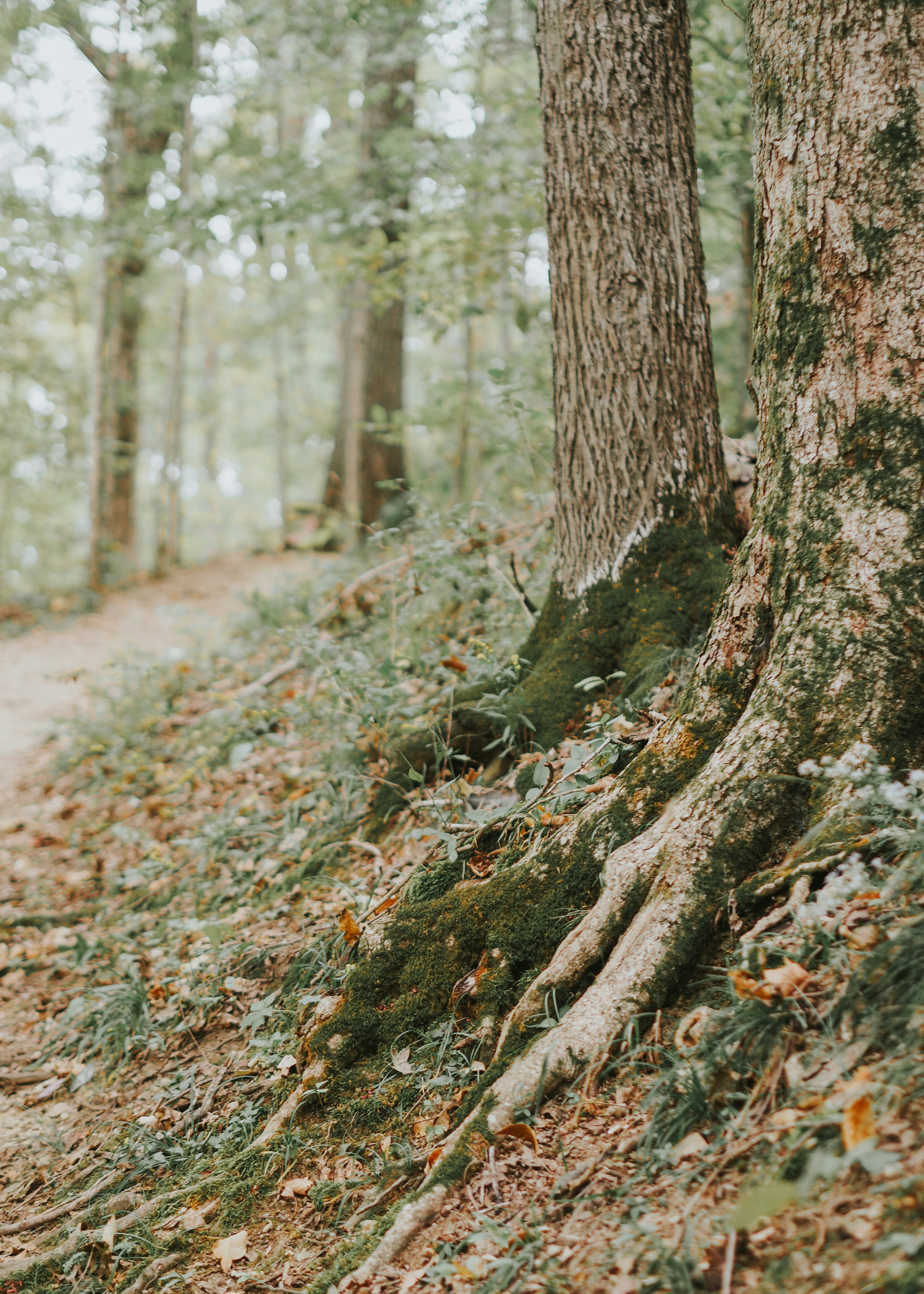 Photo by fieldworkframes