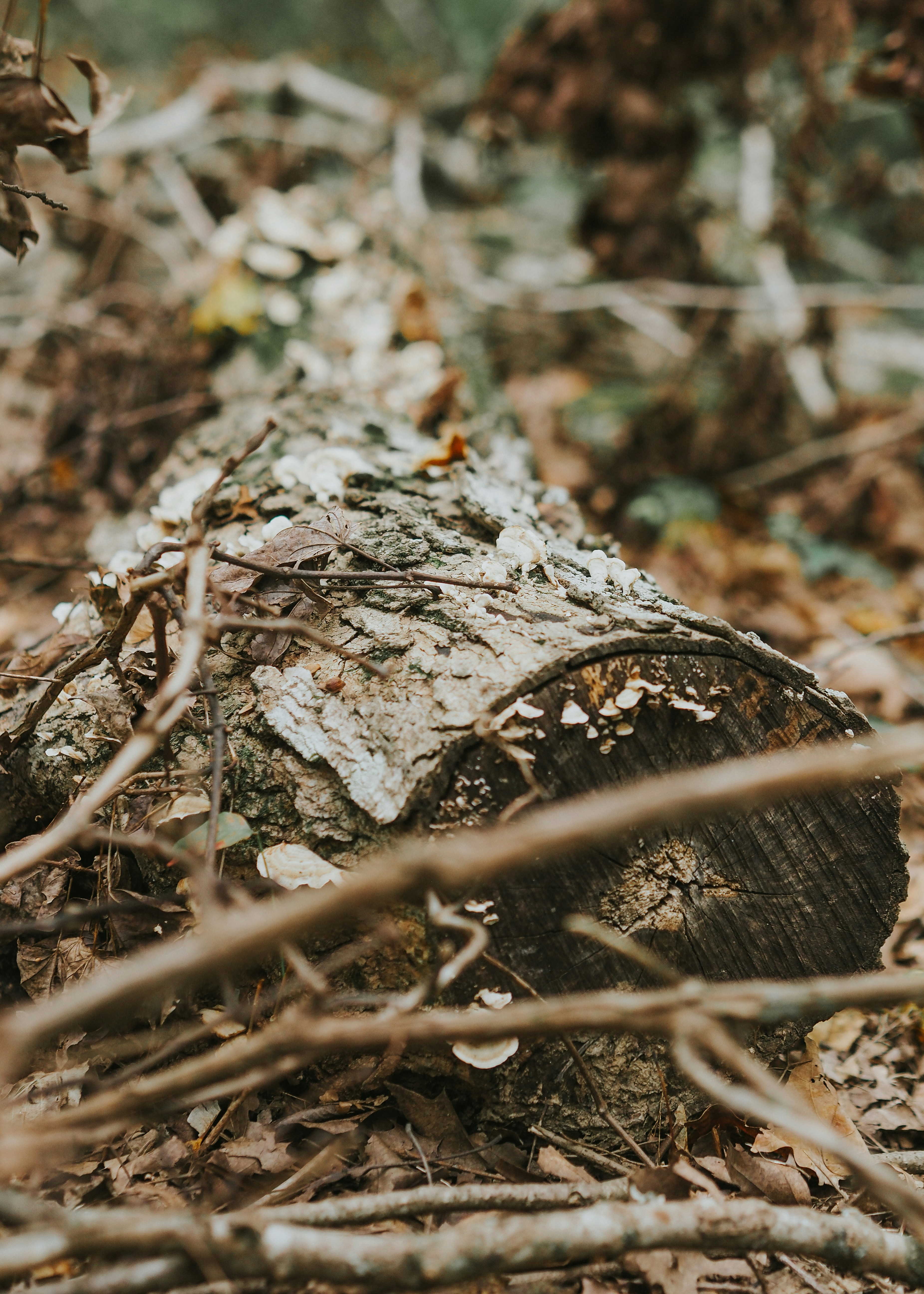 Photo by fieldworkframes