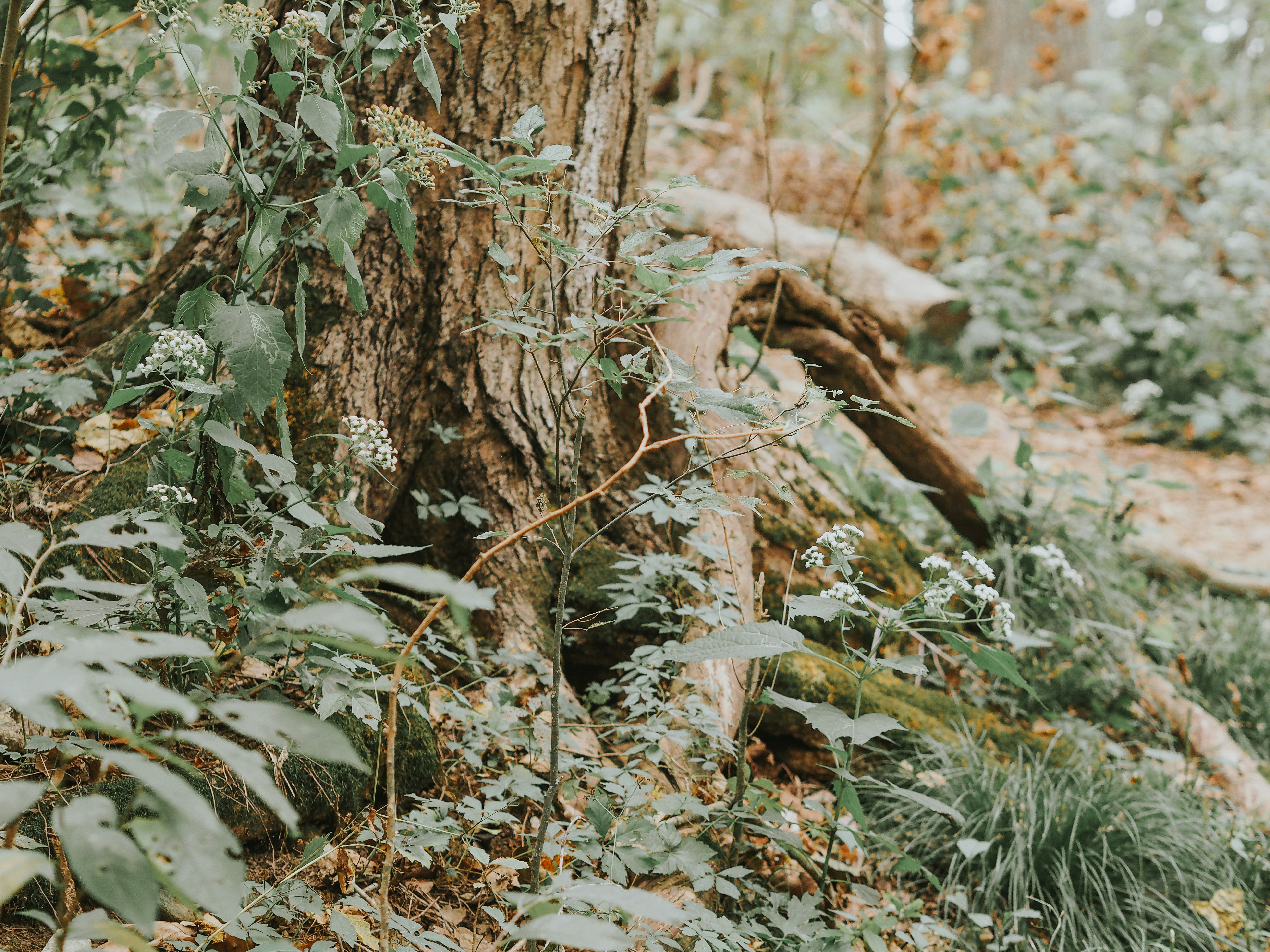 Photo by fieldworkframes