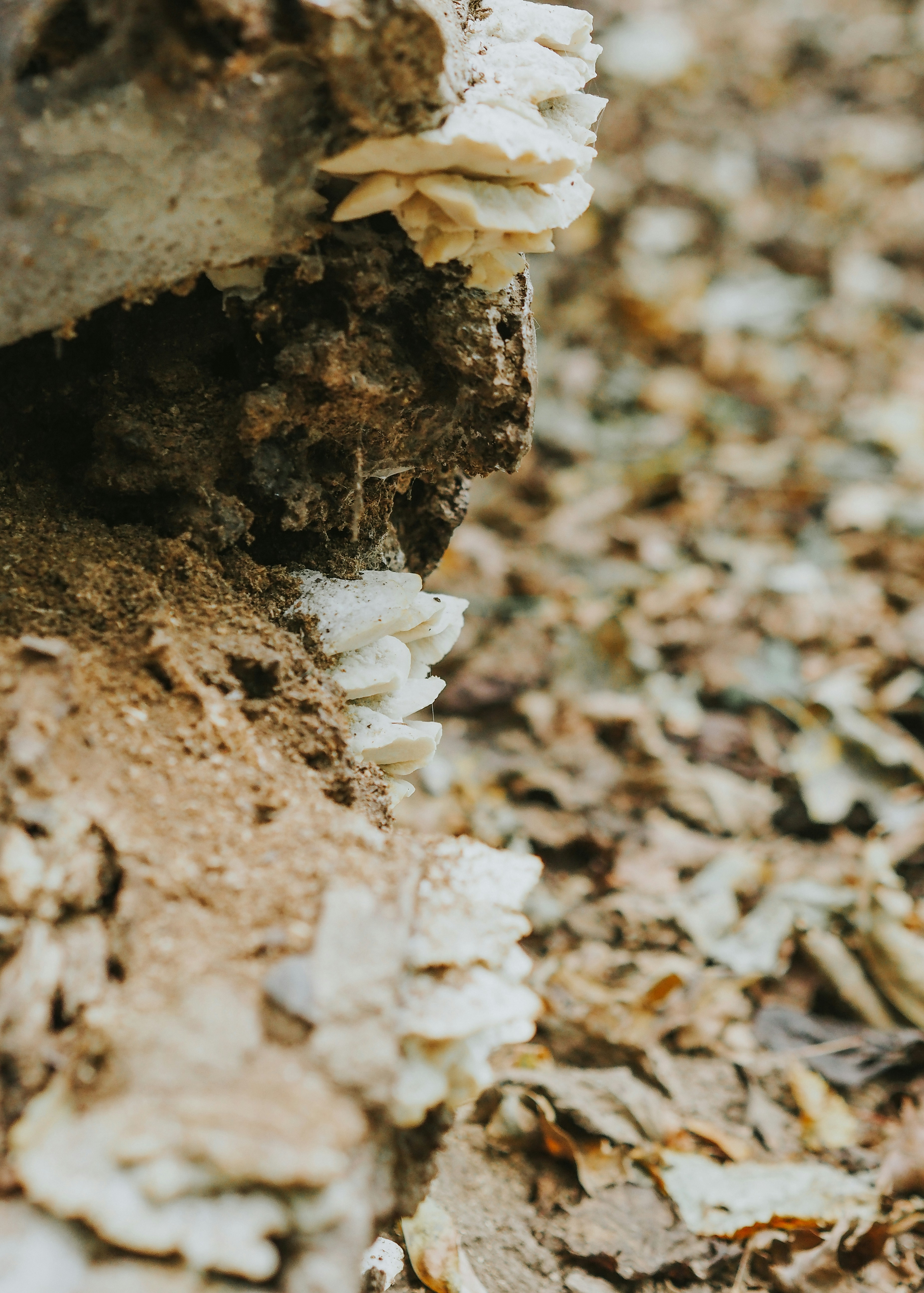 Photo by fieldworkframes