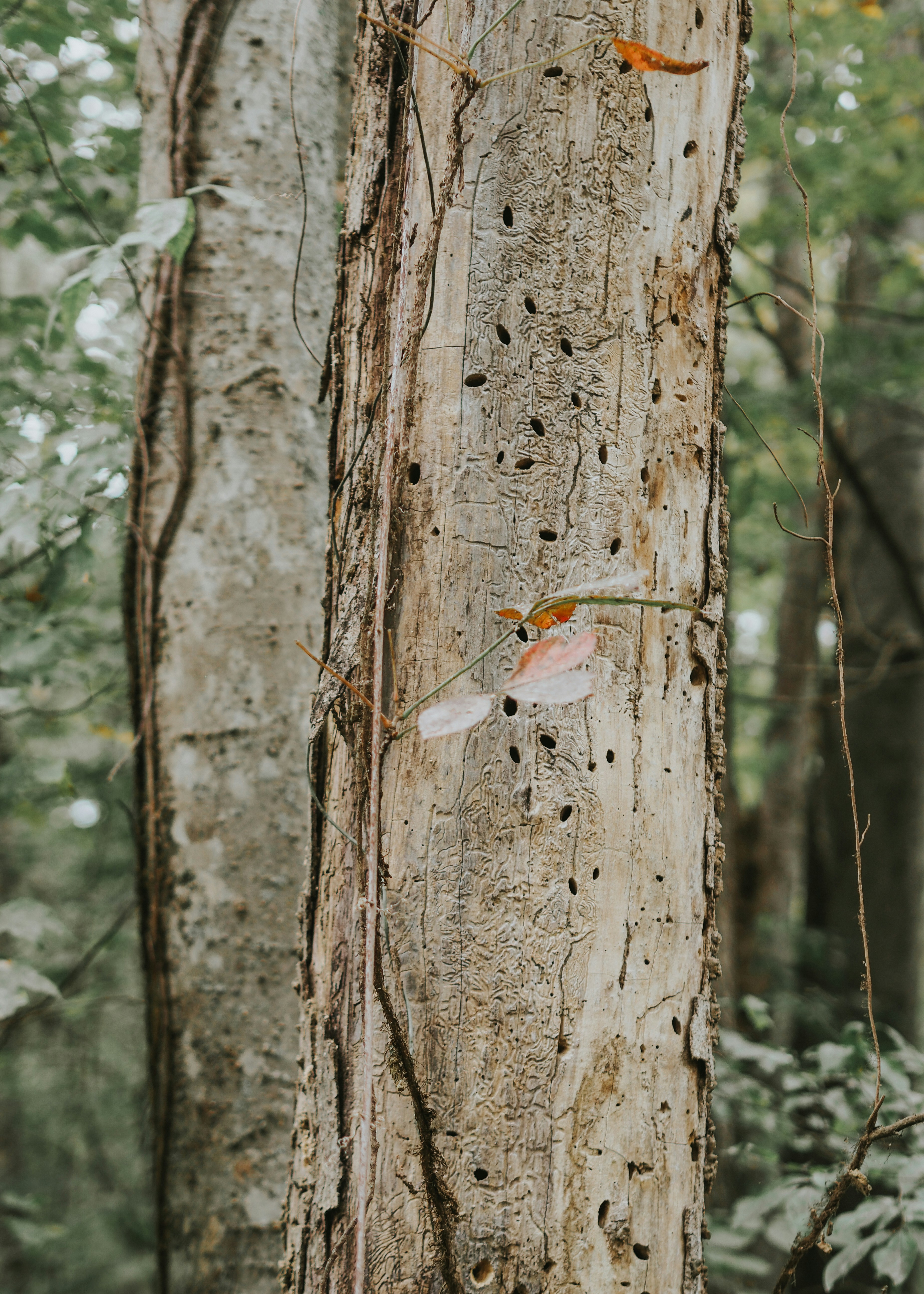 Photo by fieldworkframes