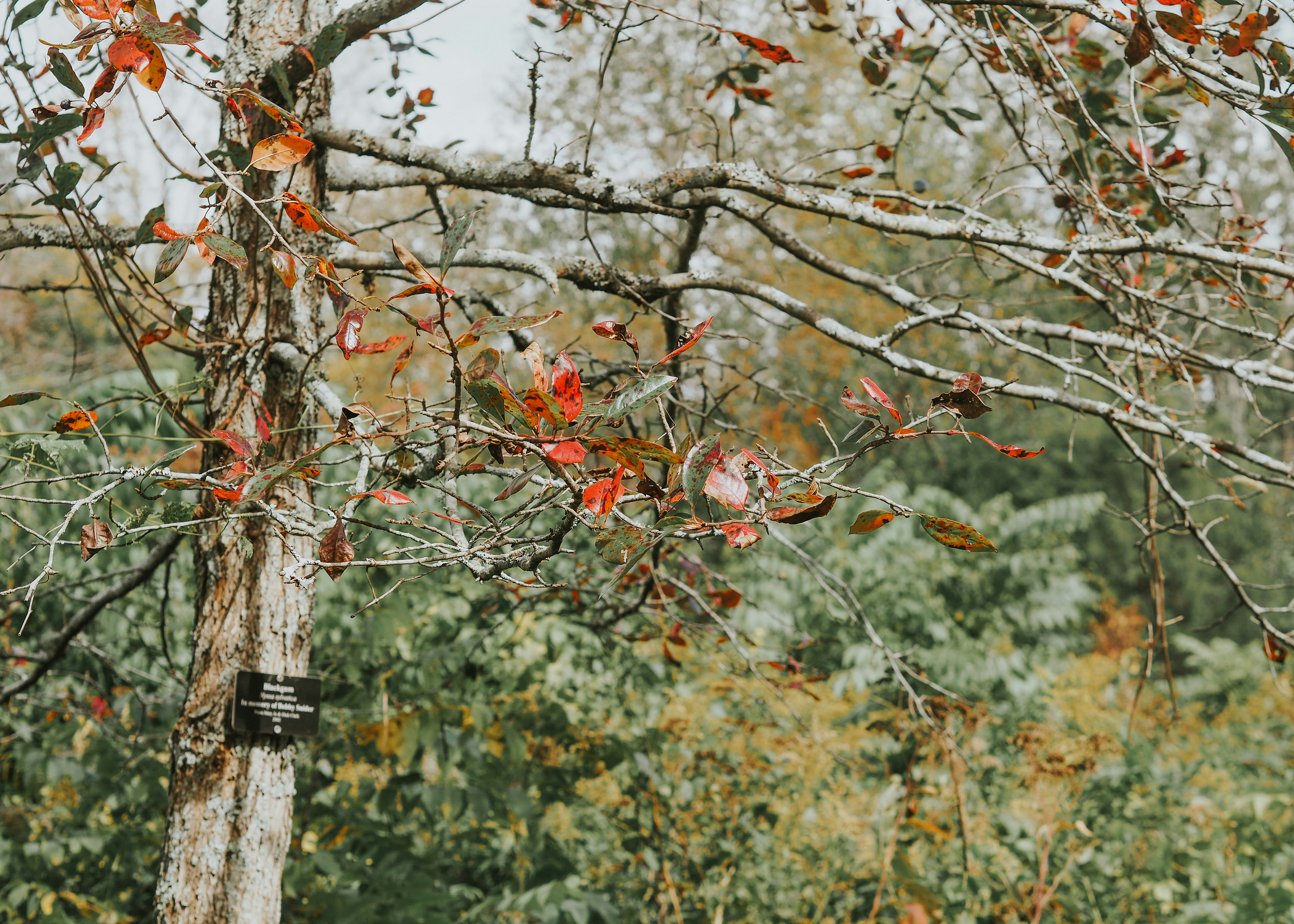 Photo by fieldworkframes