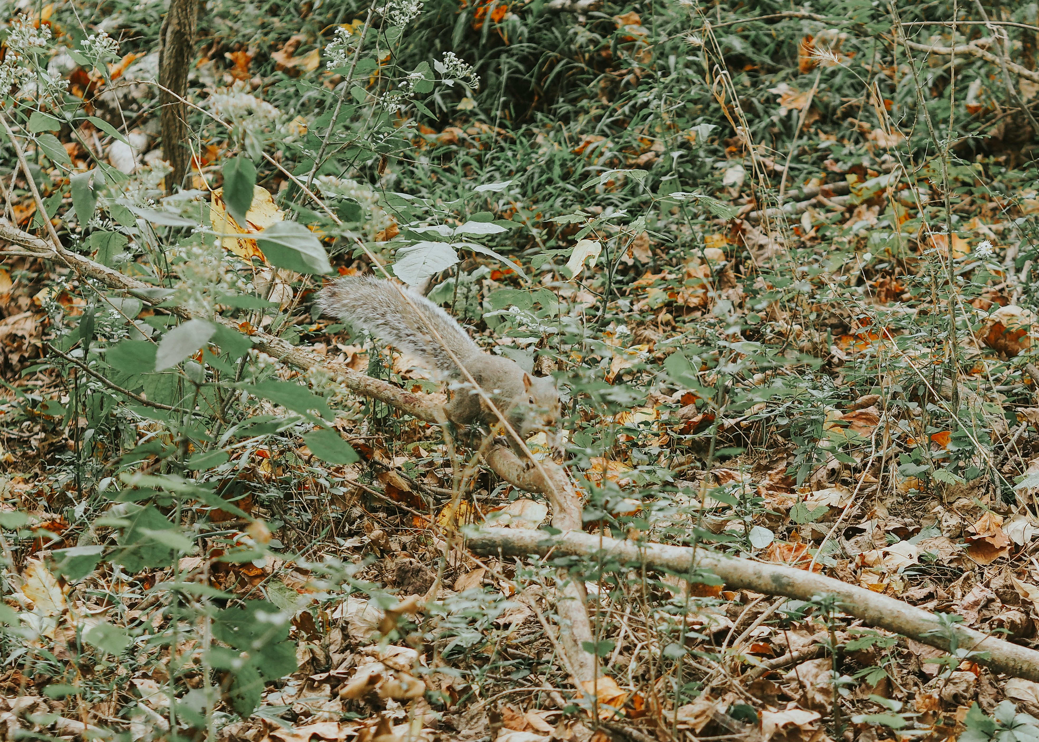 Photo by fieldworkframes