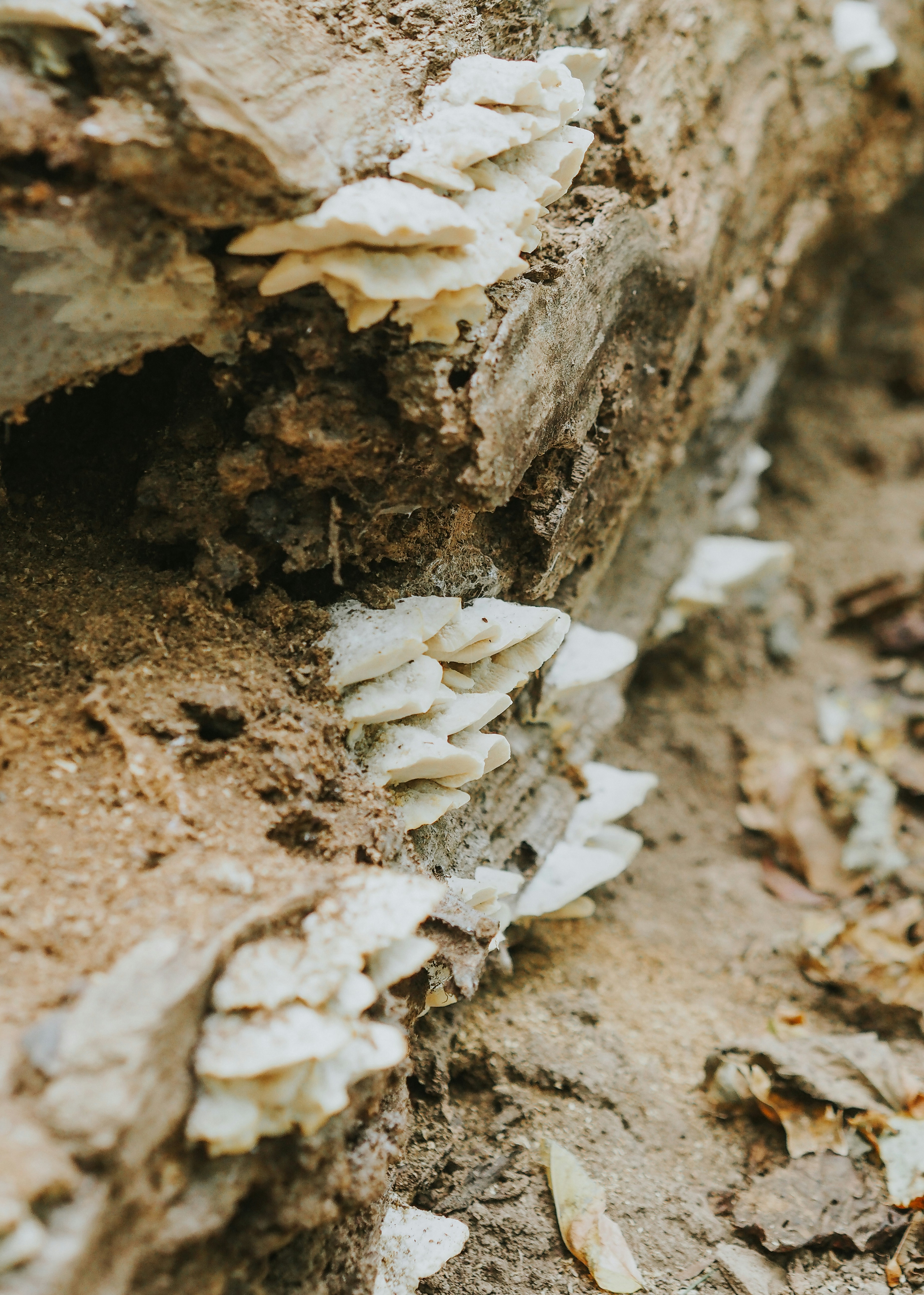 Photo by fieldworkframes