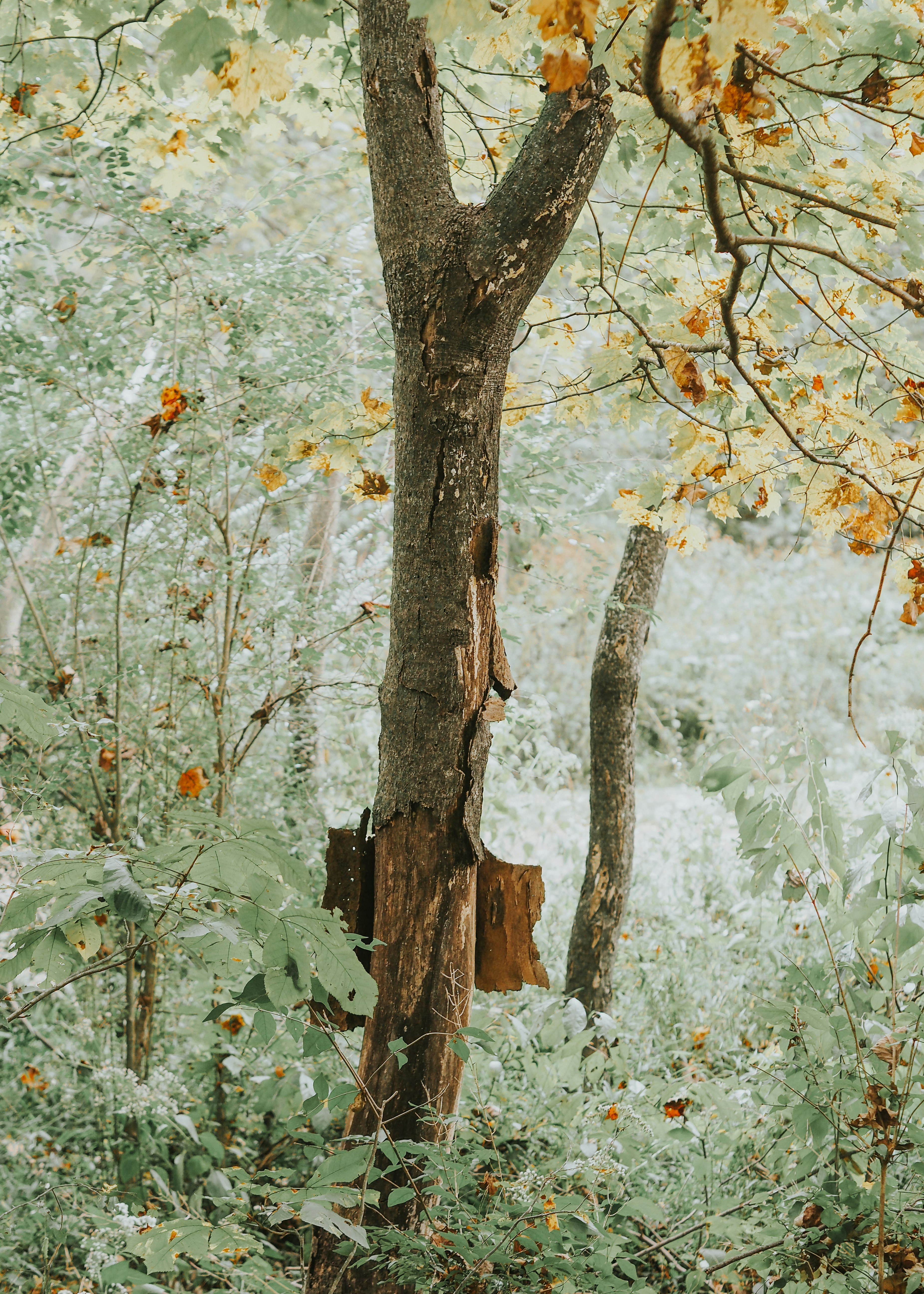 Photo by fieldworkframes