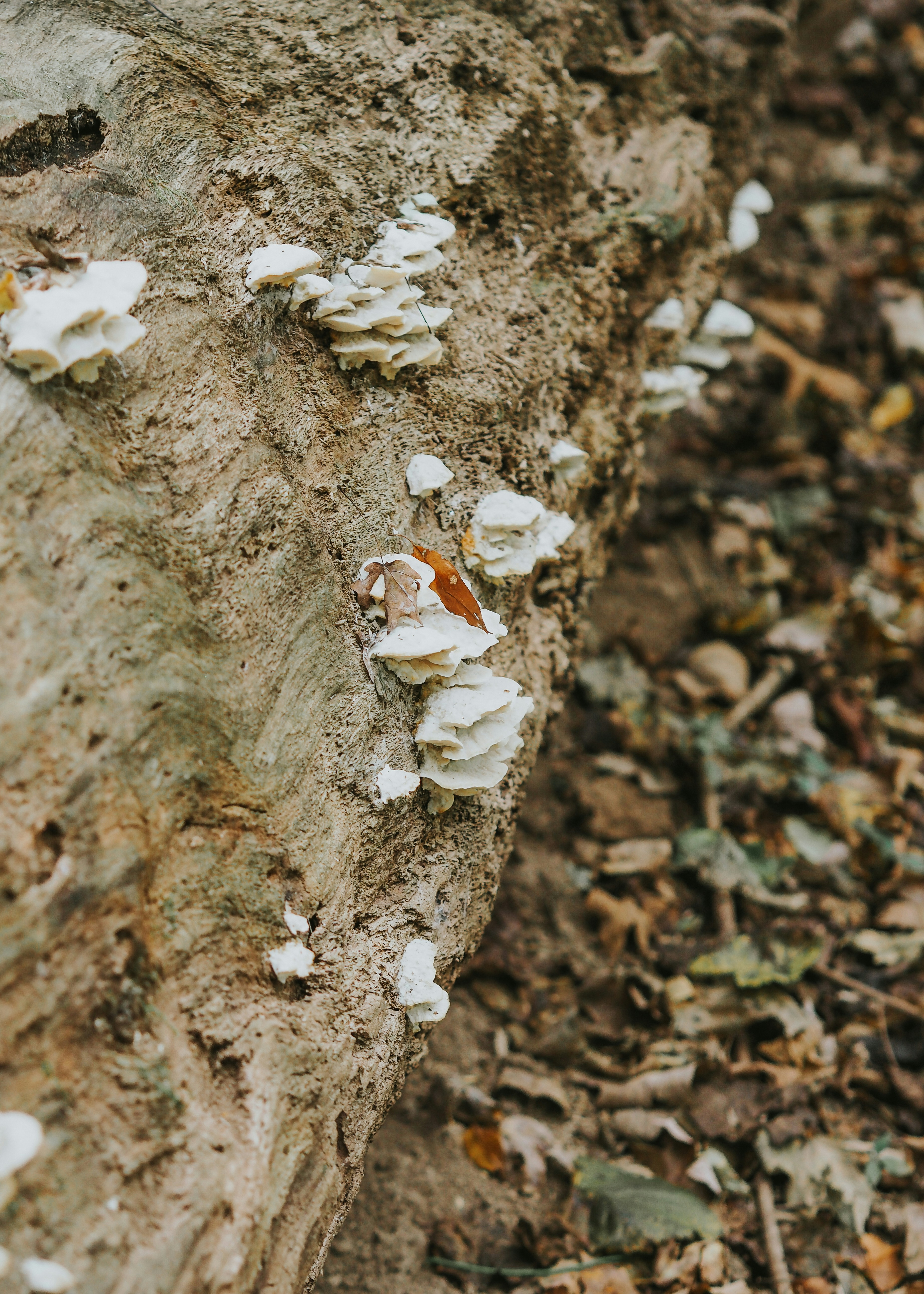 Photo by fieldworkframes