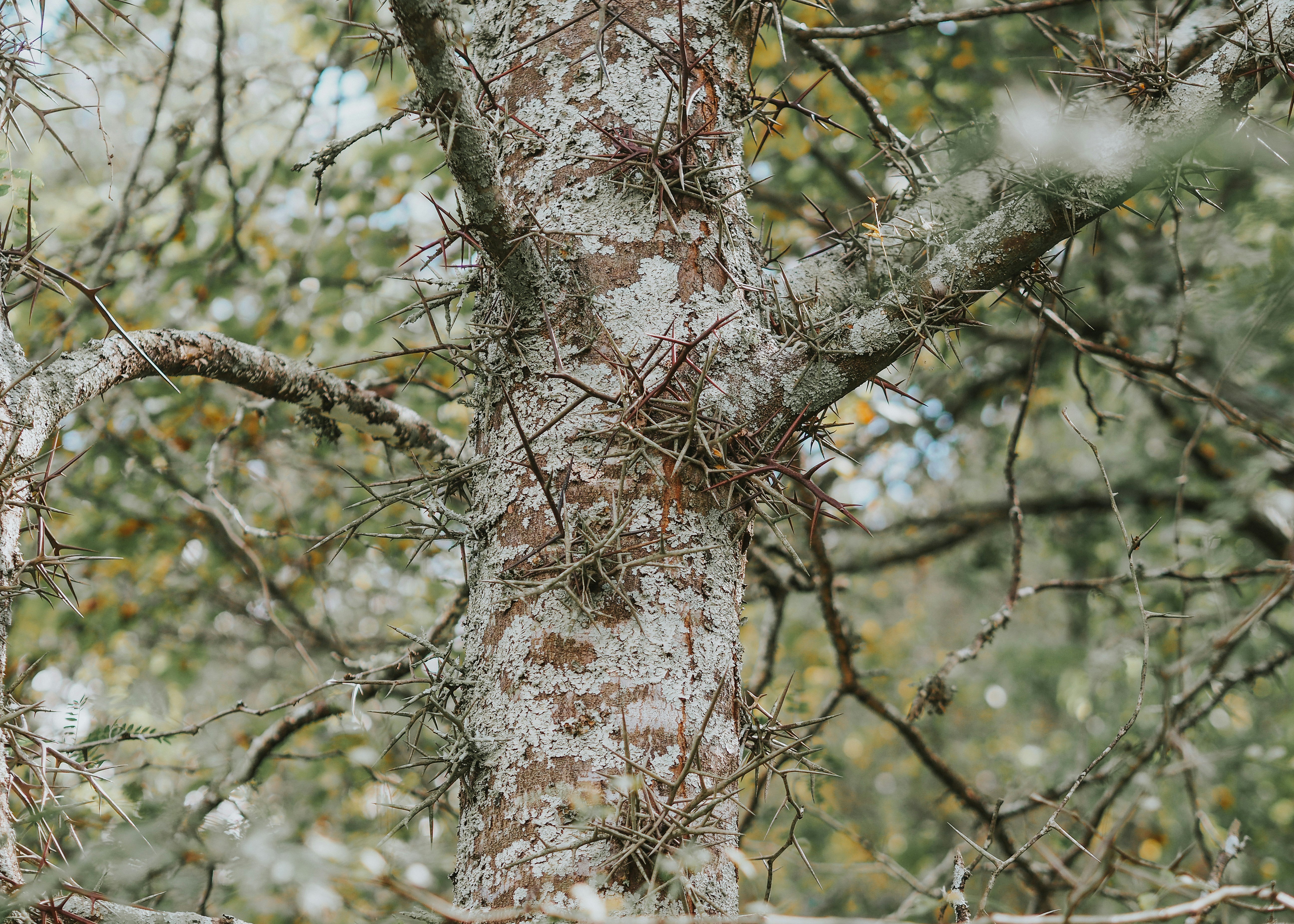 Photo by fieldworkframes