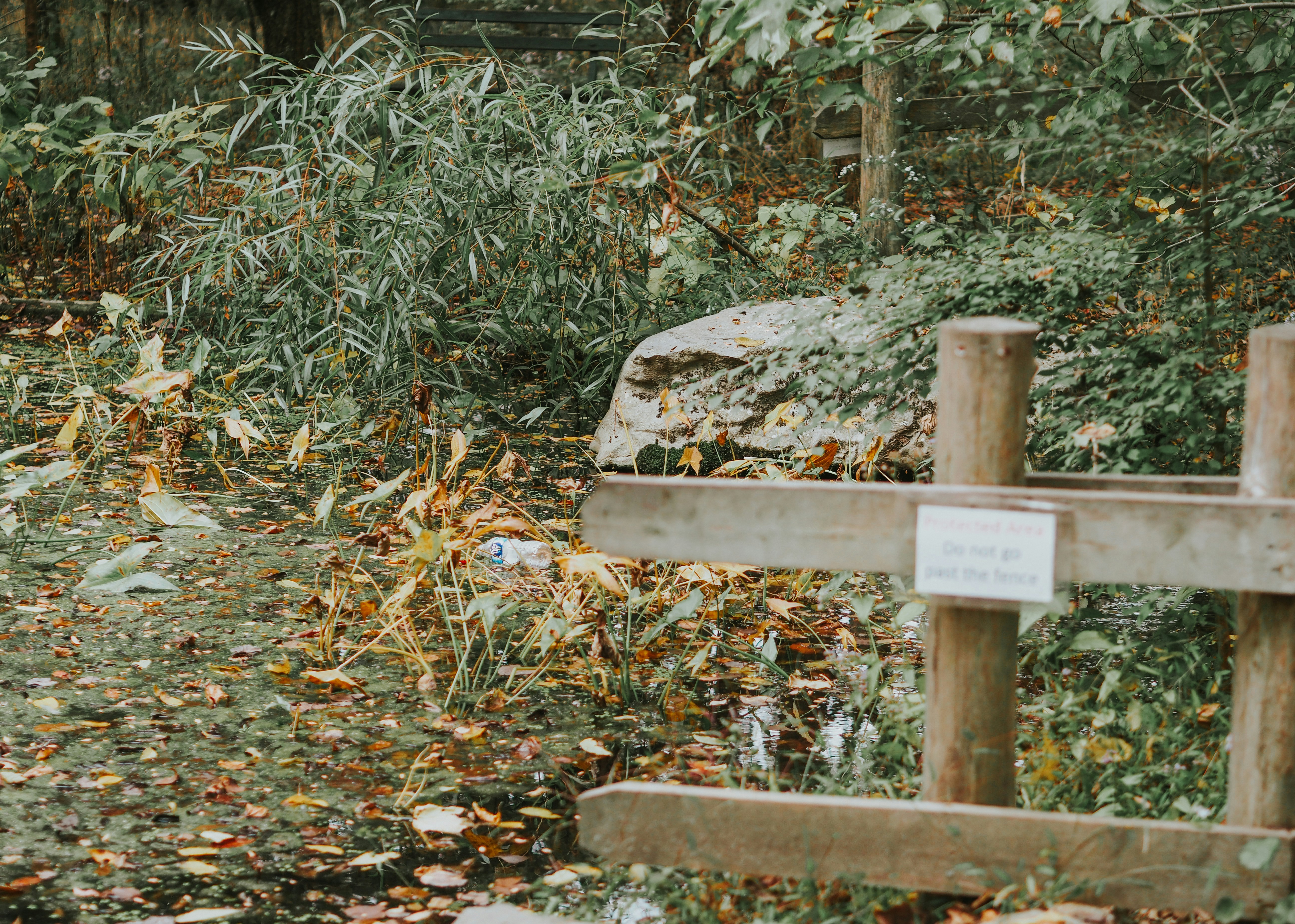 Photo by fieldworkframes