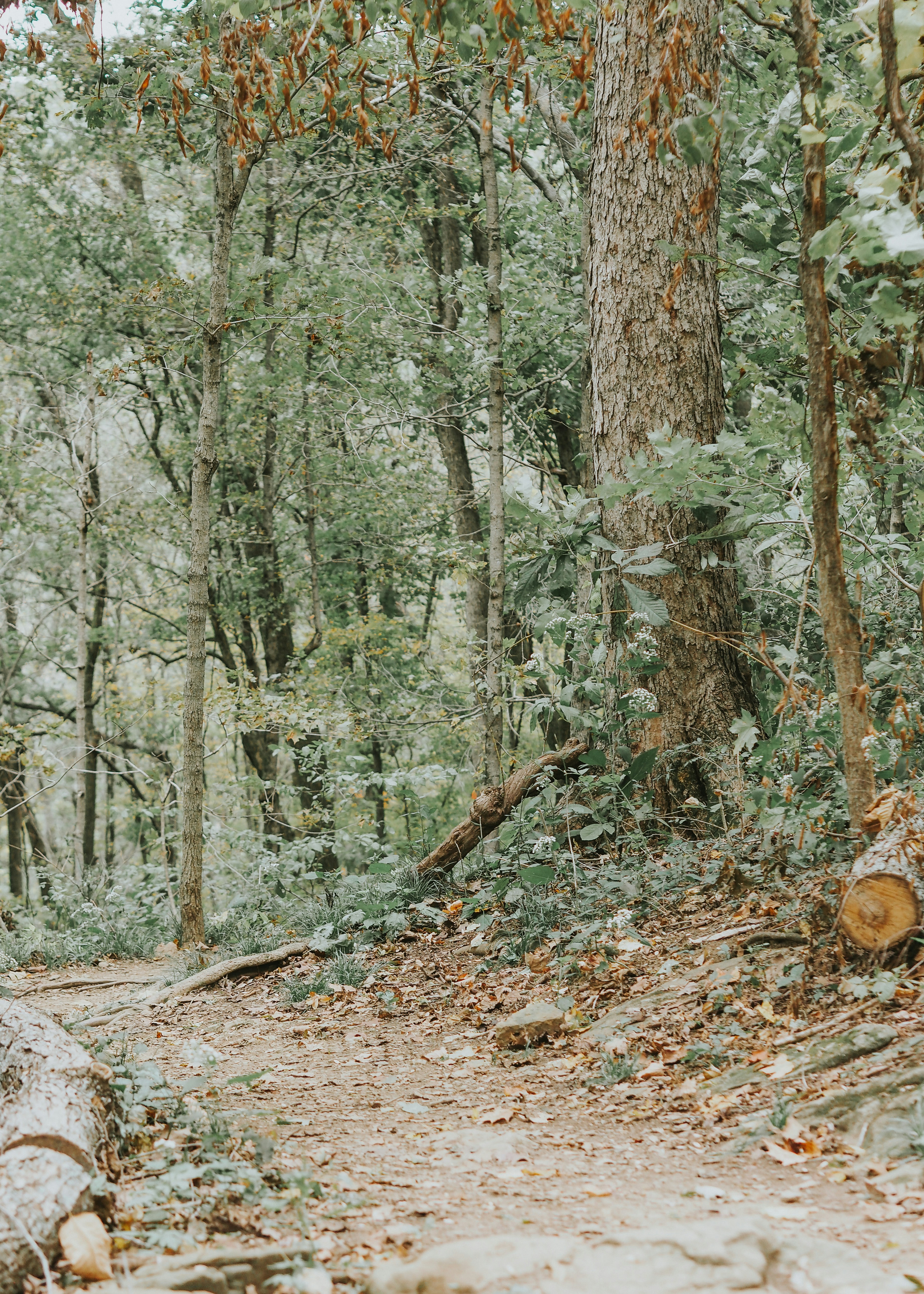 Photo by fieldworkframes