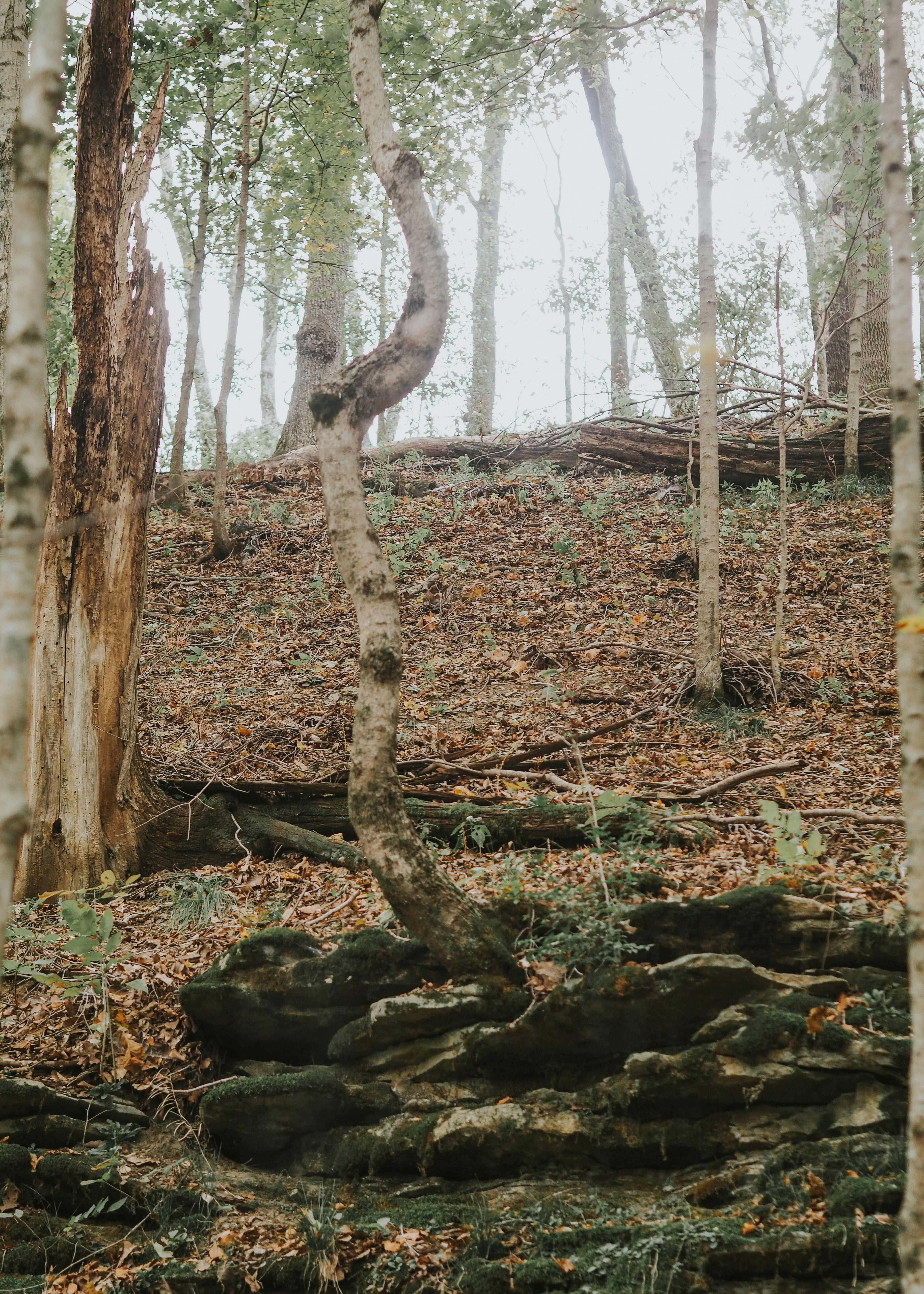 Photo by fieldworkframes