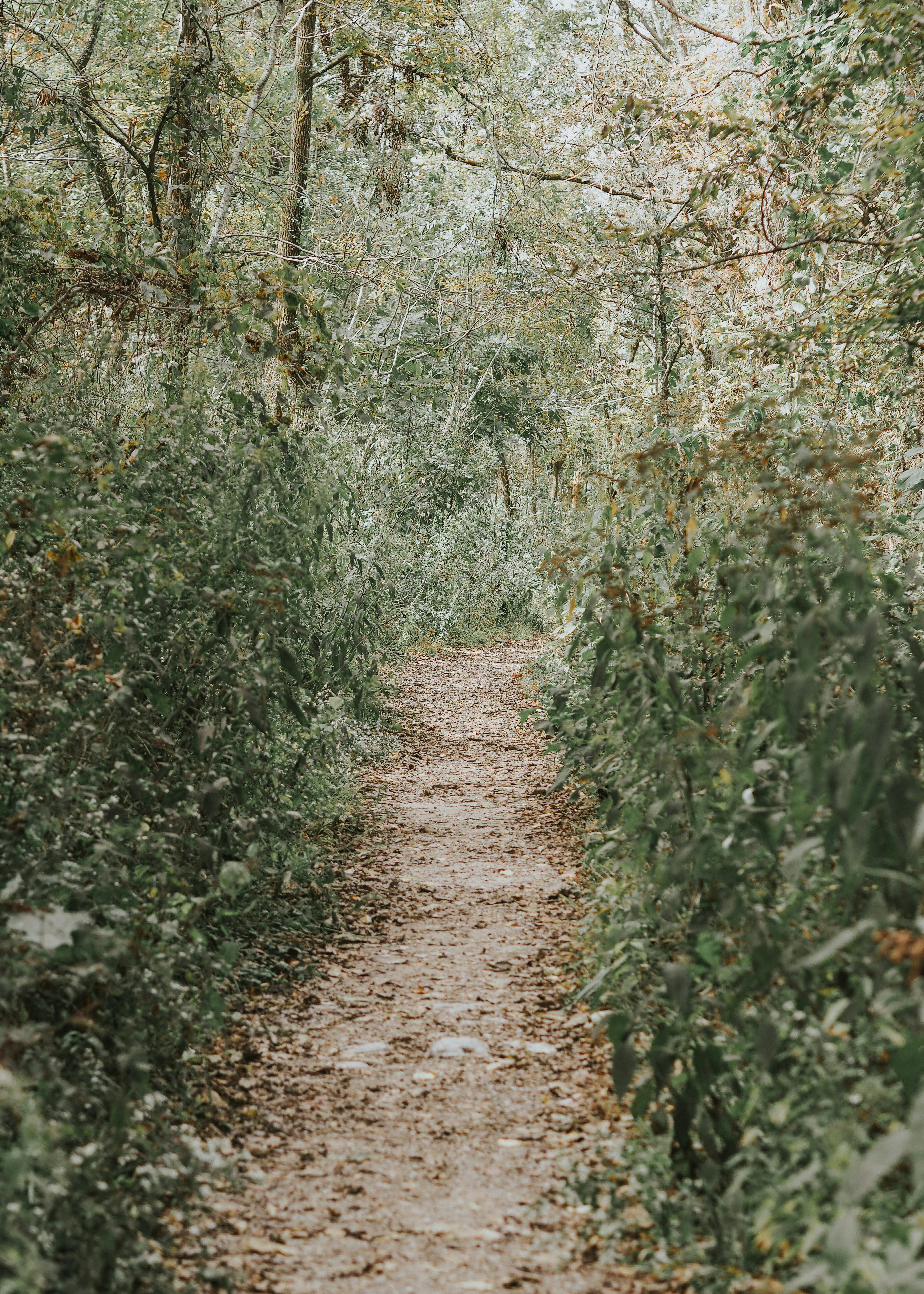 Photo by fieldworkframes