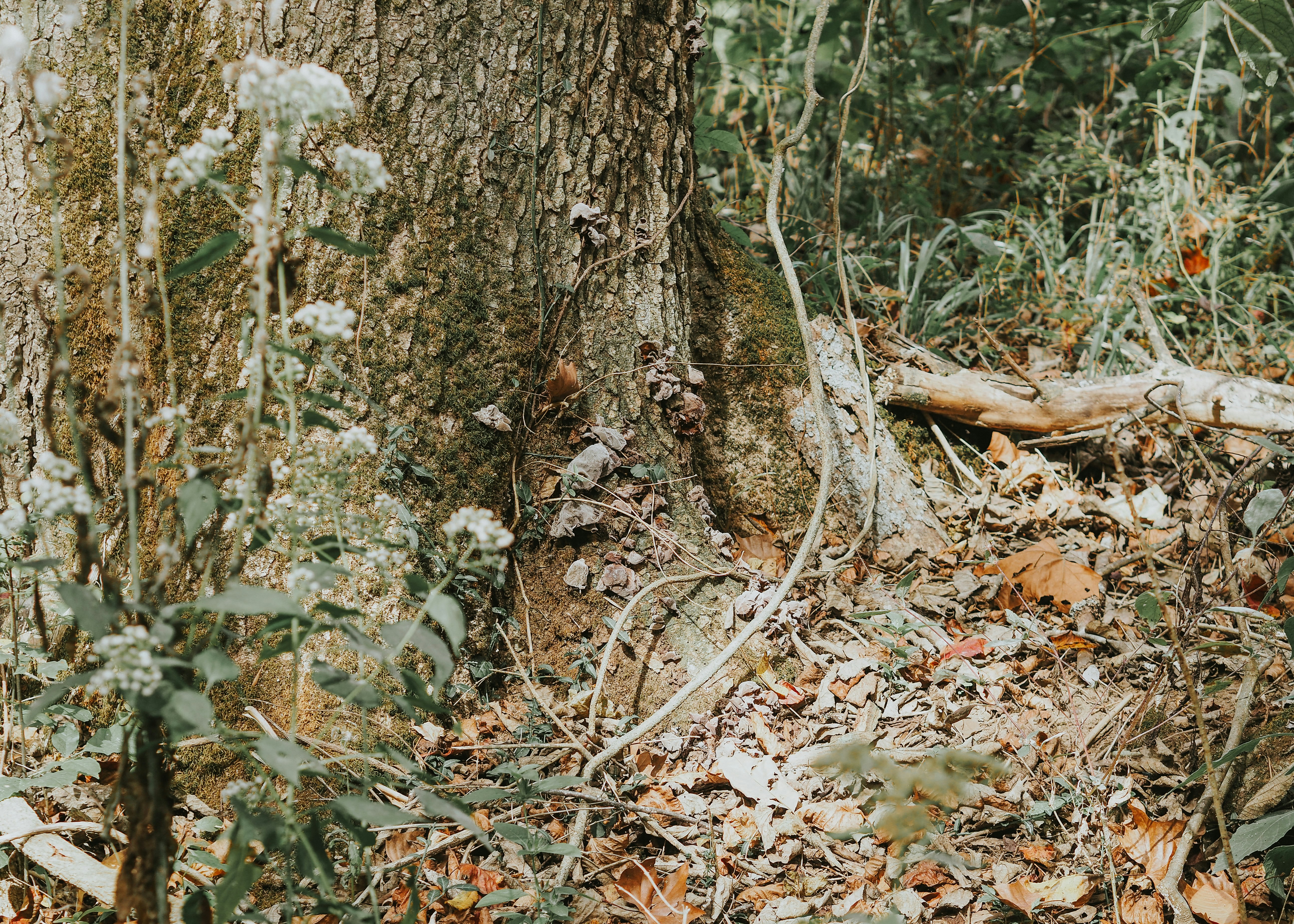 Photo by fieldworkframes