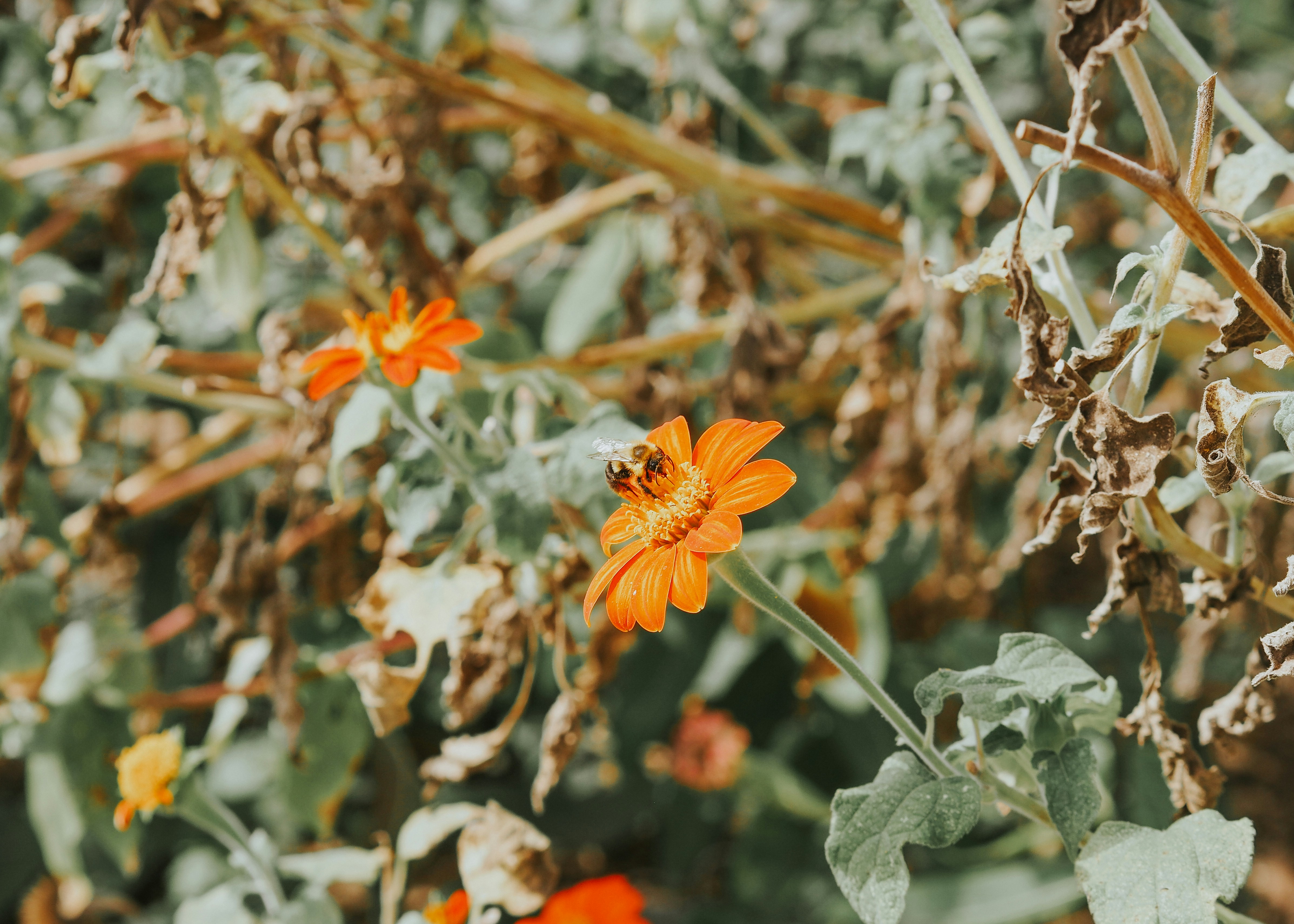 Photo by fieldworkframes