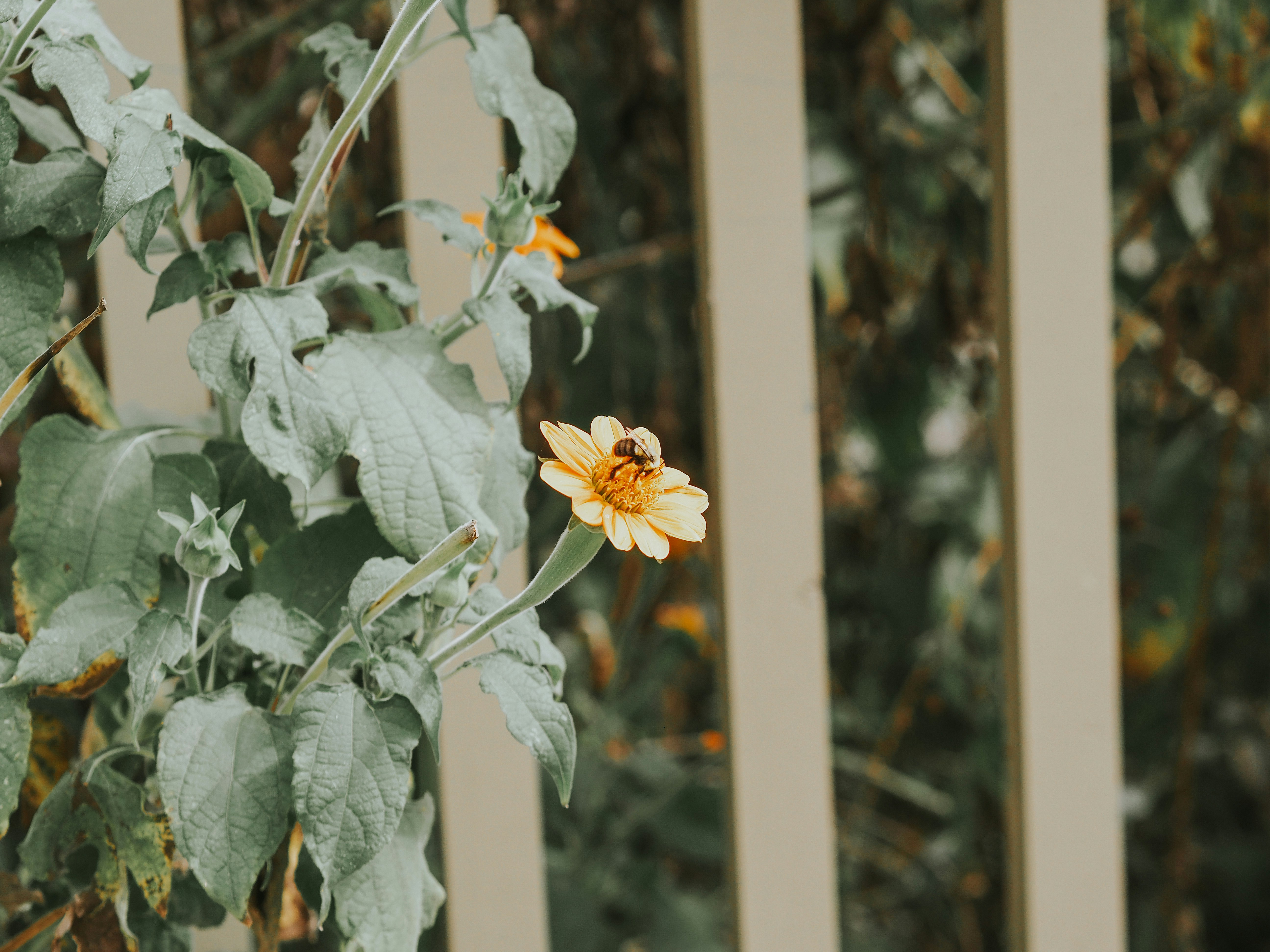 Photo by fieldworkframes