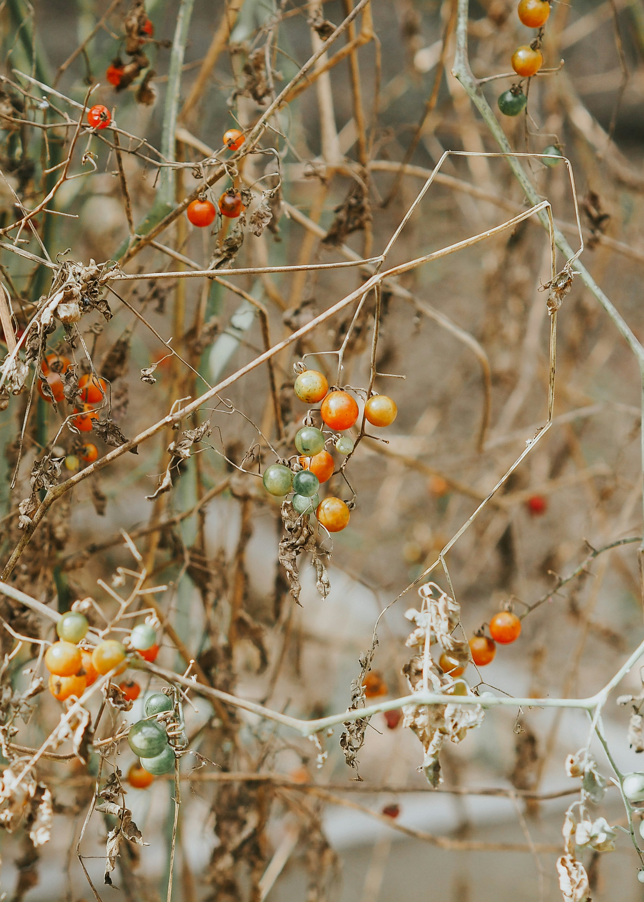 Photo by fieldworkframes