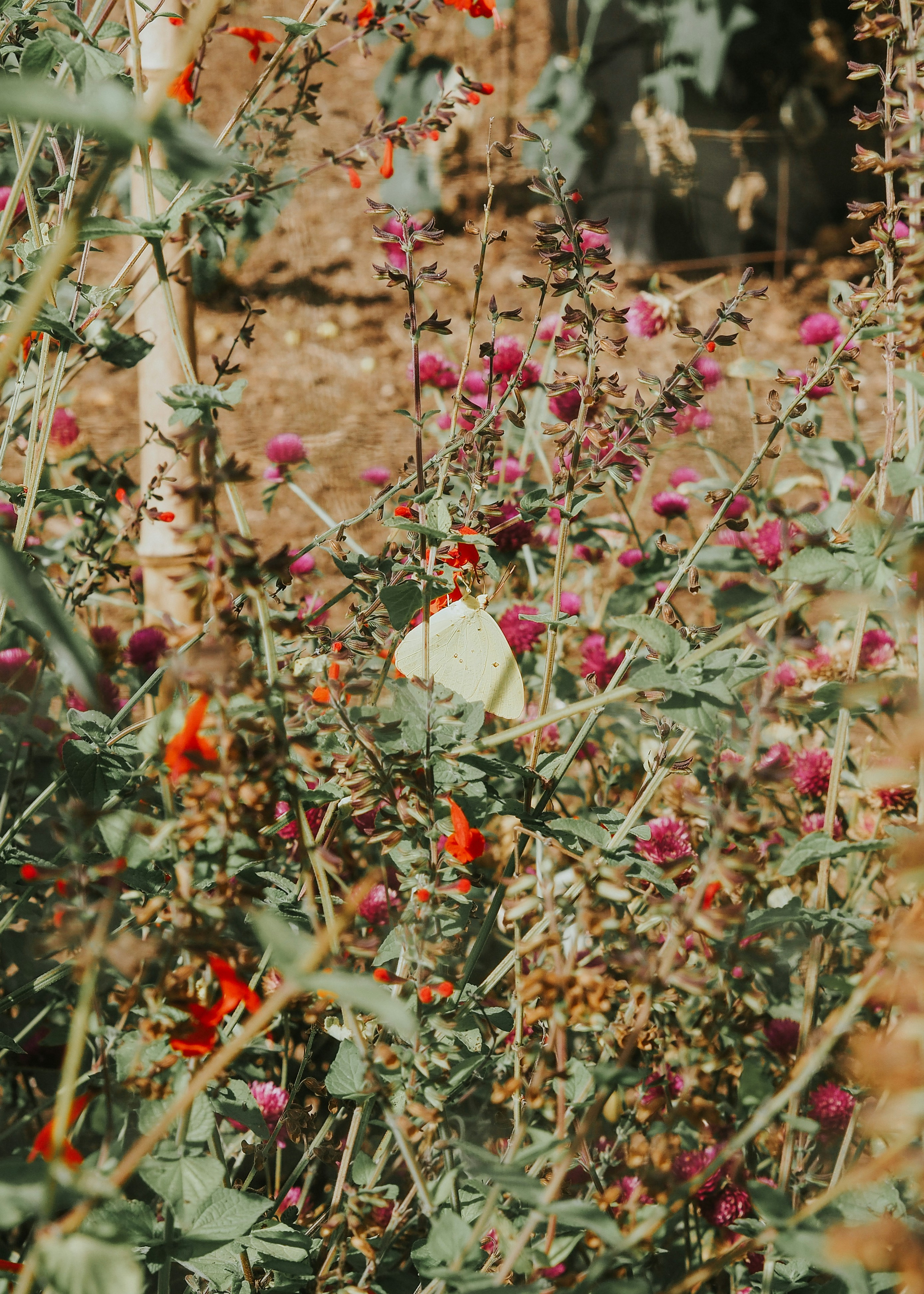 Photo by fieldworkframes