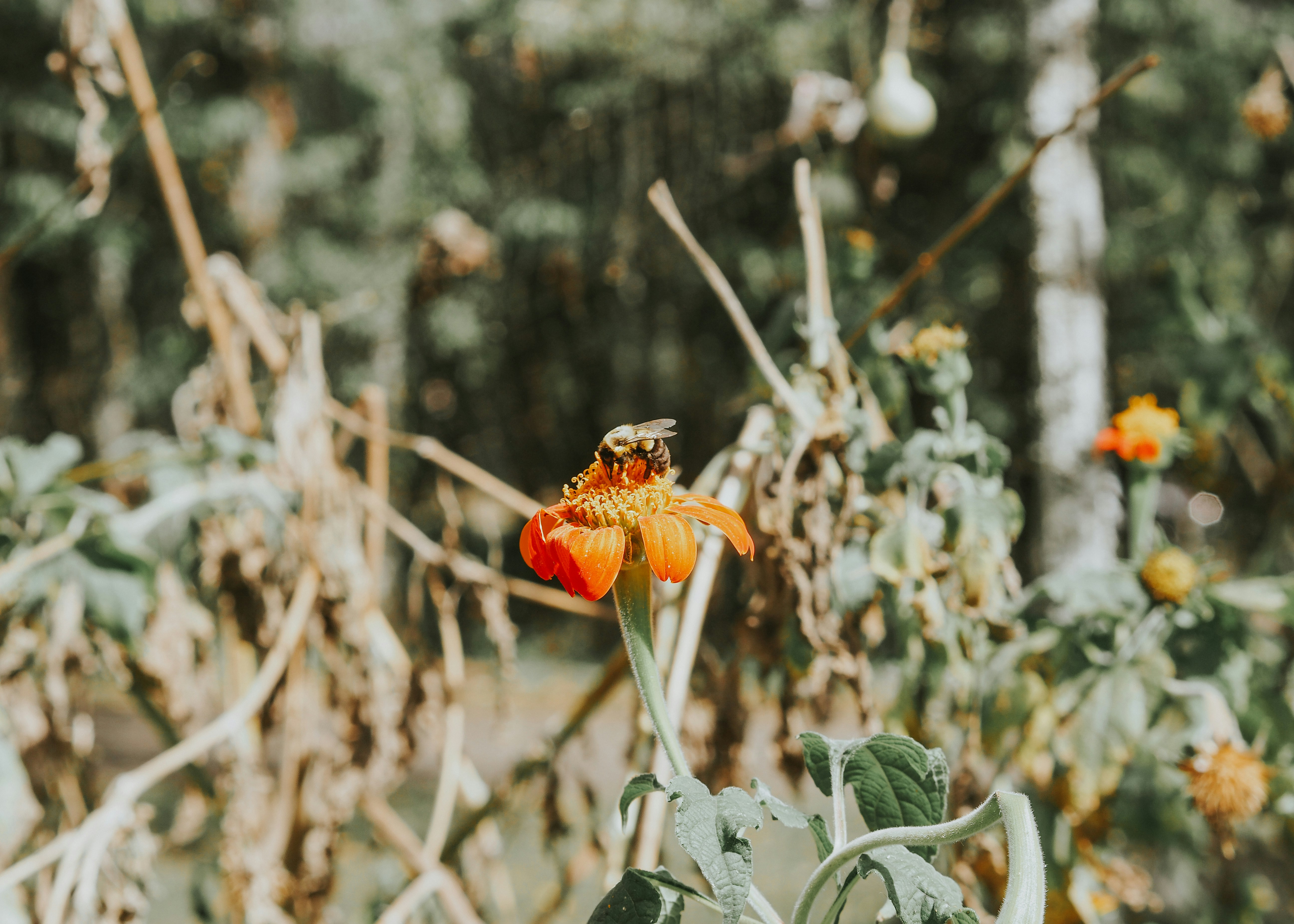 Photo by fieldworkframes