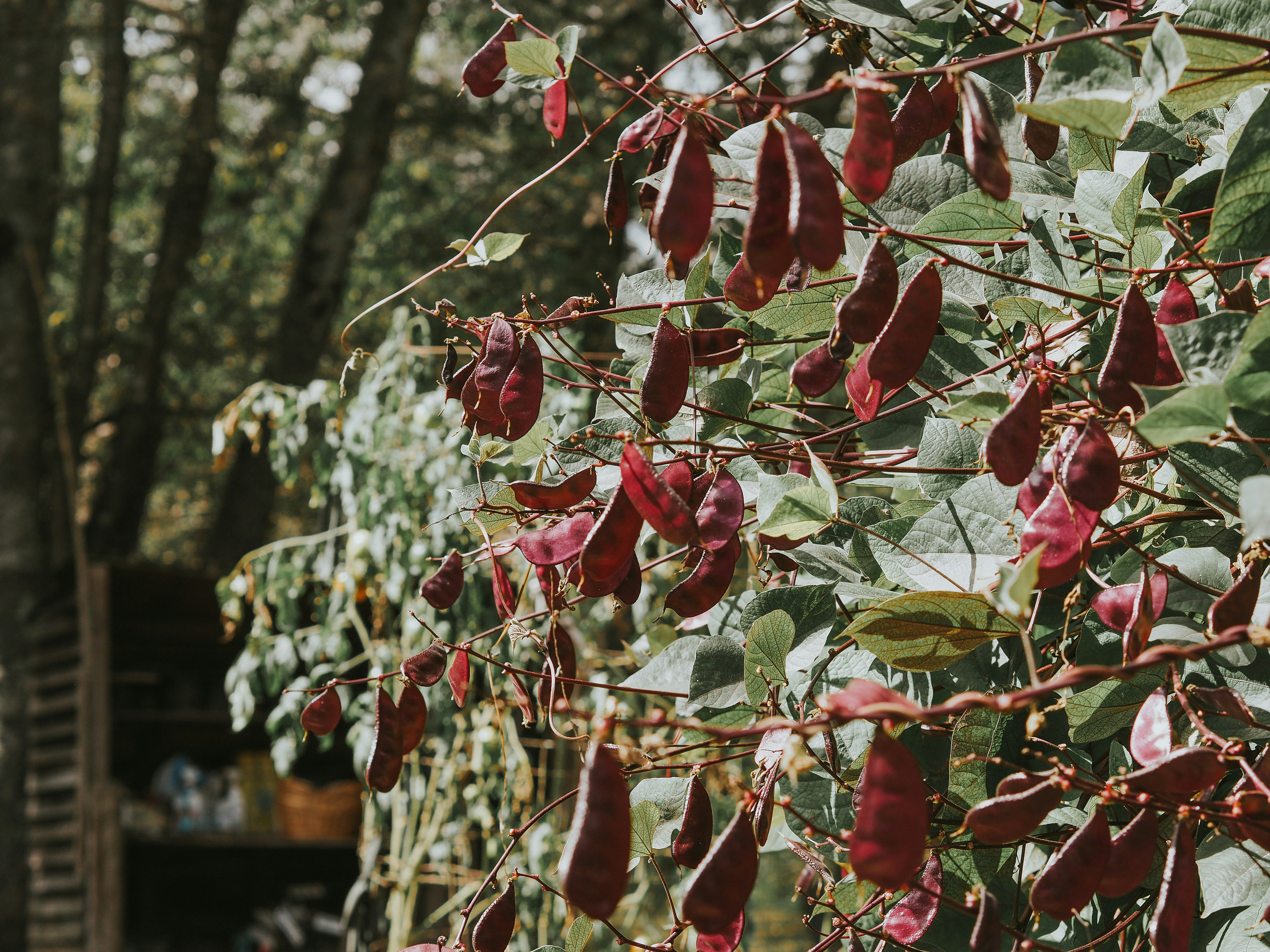 Photo by fieldworkframes