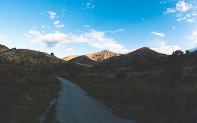 A serene landscape with a path leading towards a bright horizon.