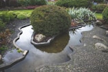 A landscaped garden features an intricately shaped pond with clear water, surrounded by neatly trimmed bushes and different types of green foliage. Rocks are carefully placed around the pond, and there is a clear reflection of the greenery in the water.